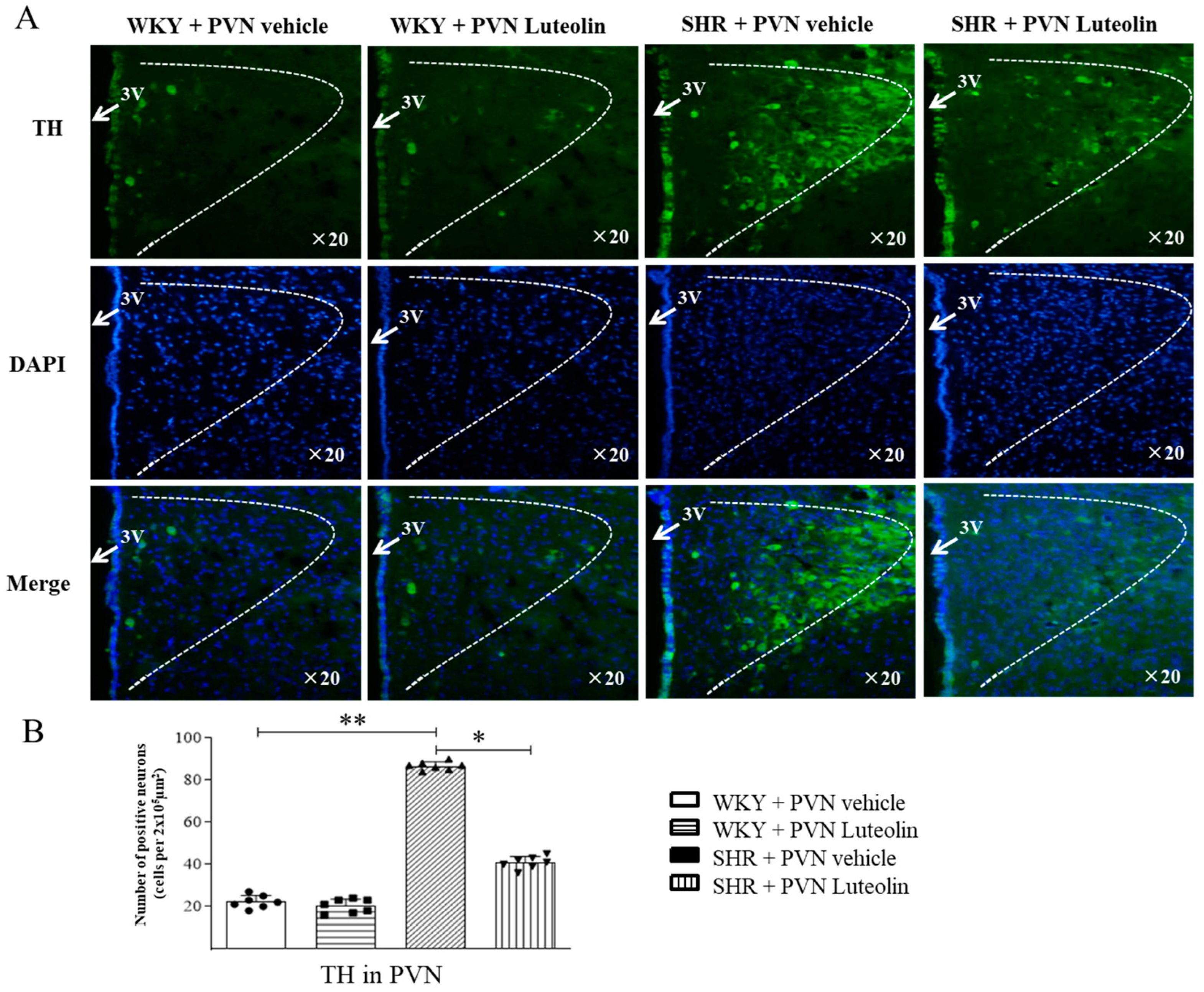 Nutrients 15 00502 g006 Nutrients 15 00502 g006