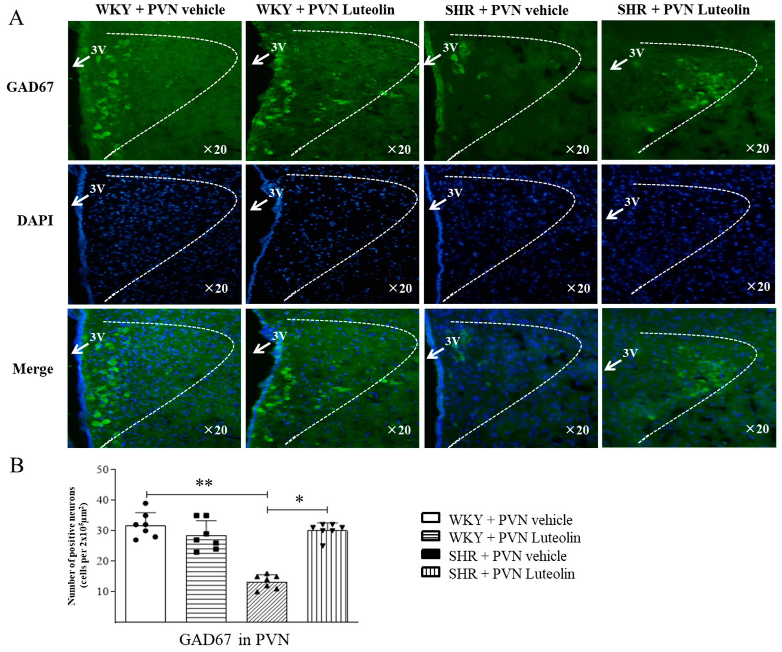 Nutrients 15 00502 g007 Nutrients 15 00502 g007