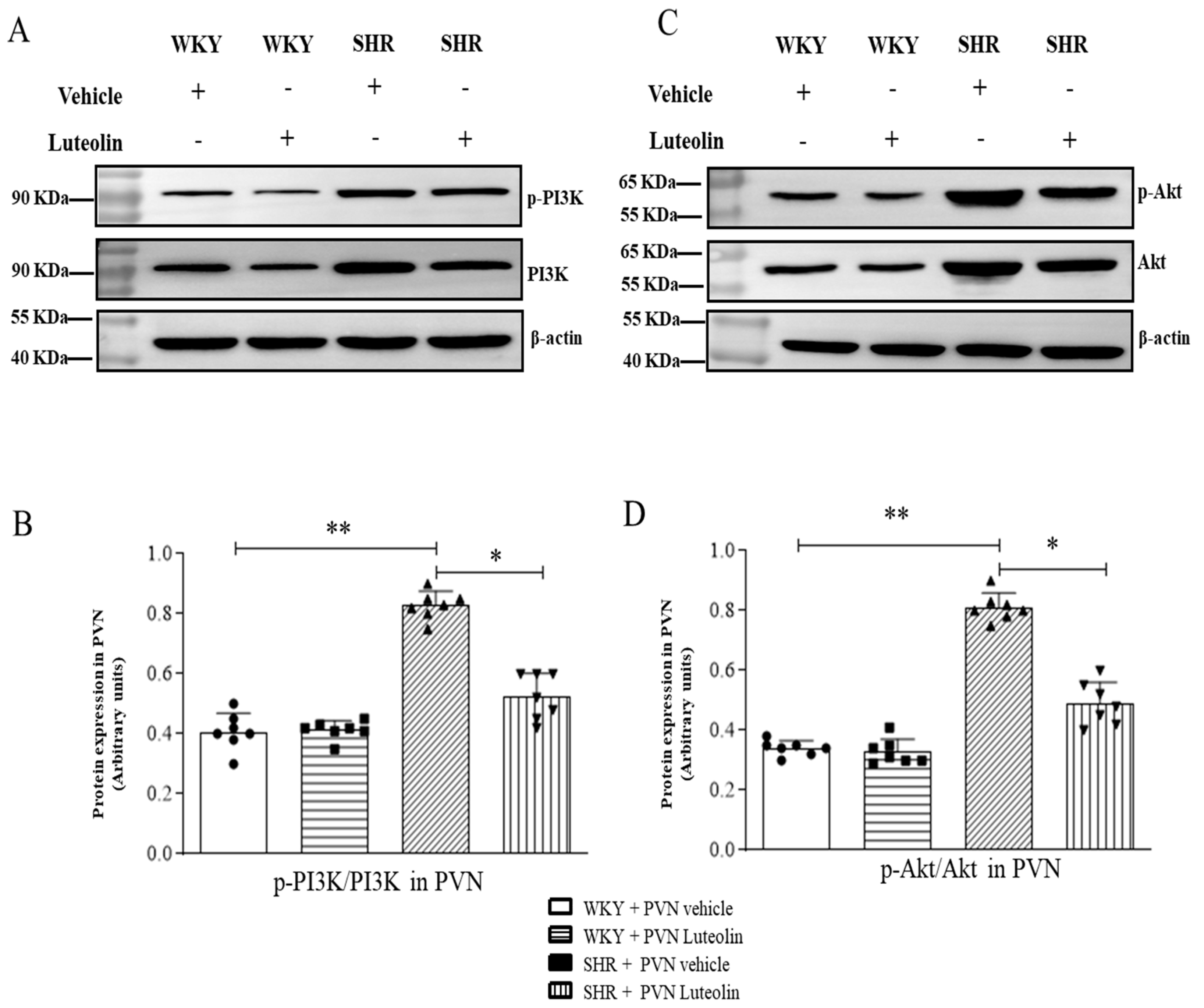 Nutrients 15 00502 g008 Nutrients 15 00502 g008