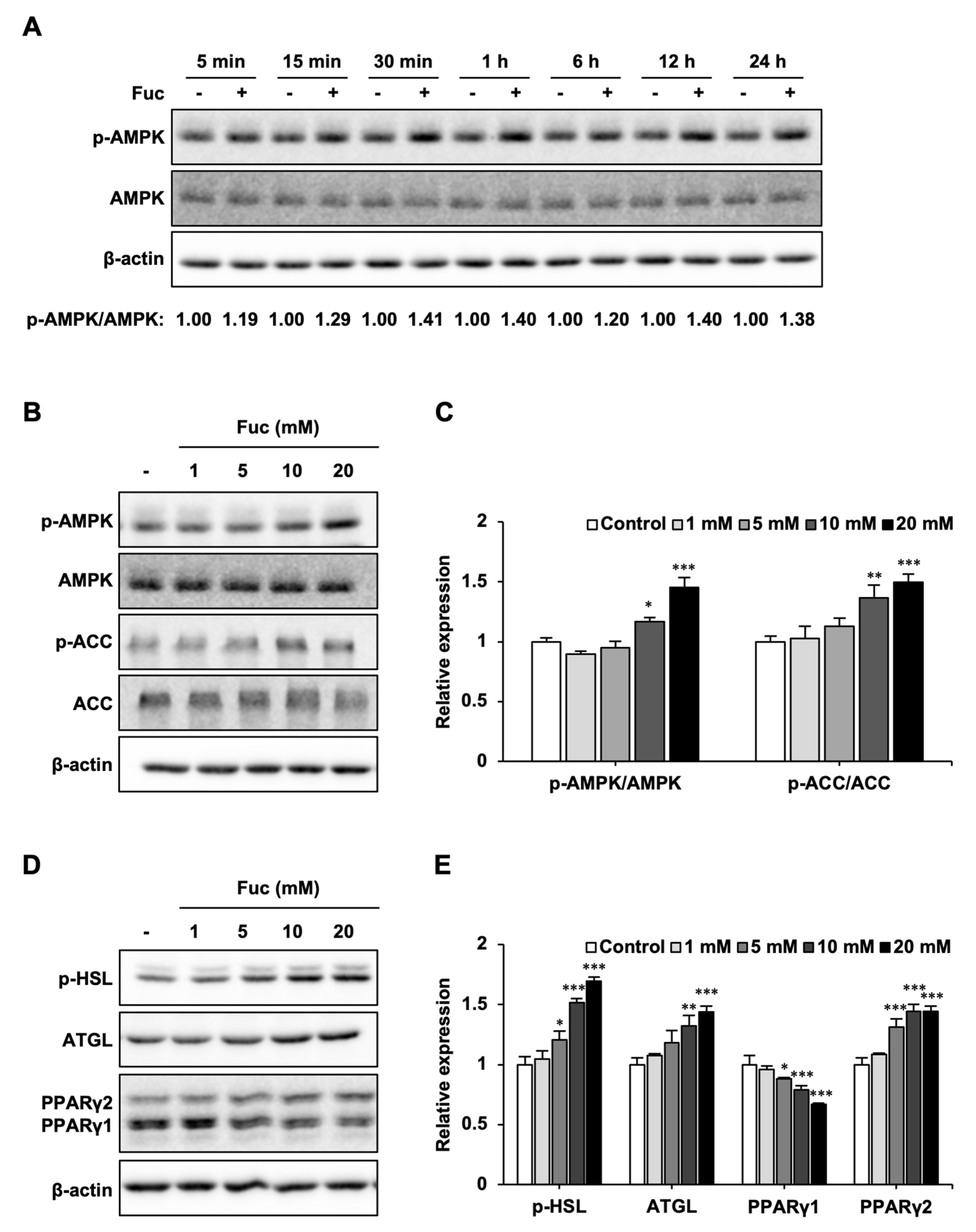 Nutrients 15 00503 g002 Nutrients 15 00503 g002