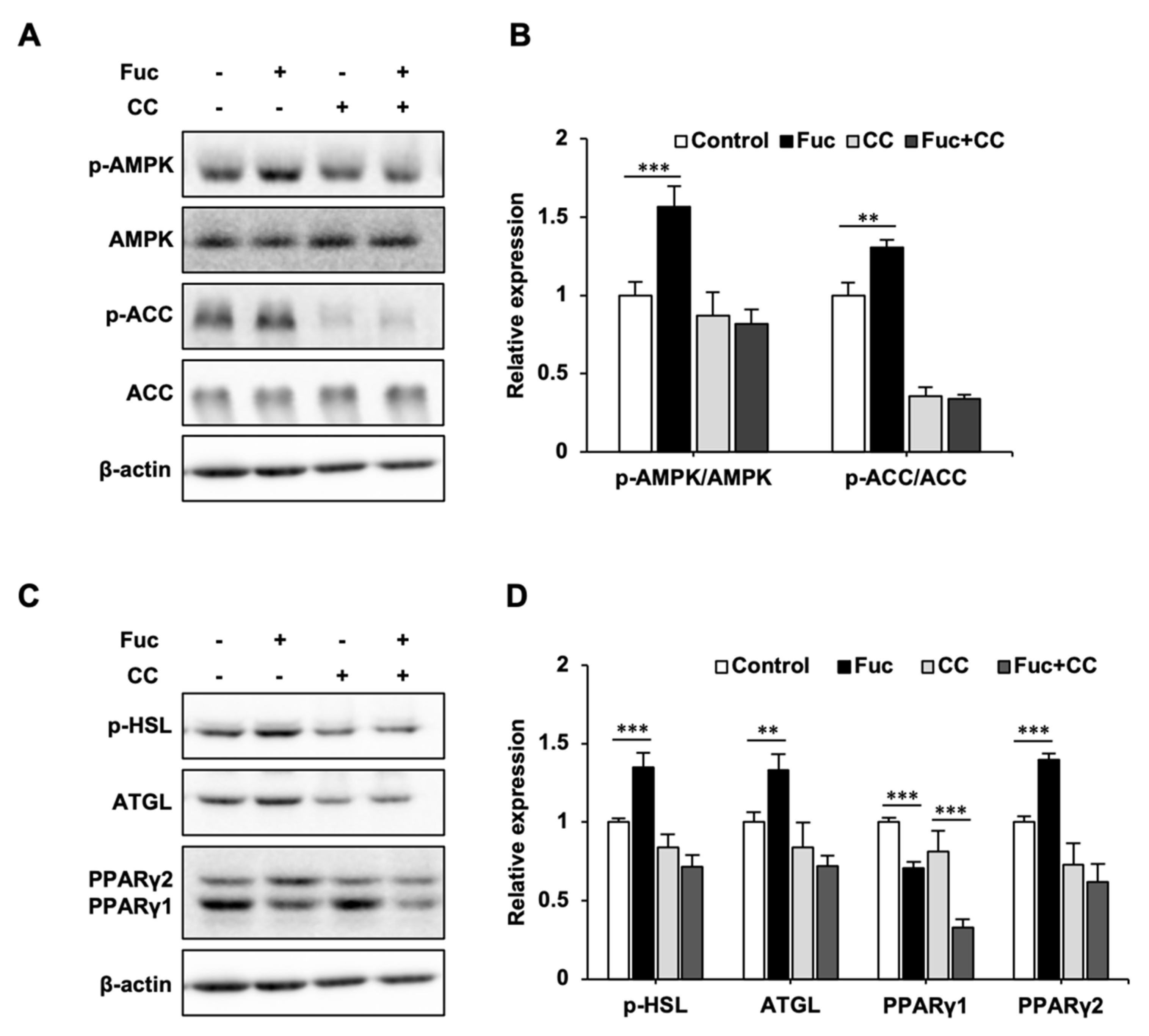 Nutrients 15 00503 g003 Nutrients 15 00503 g003