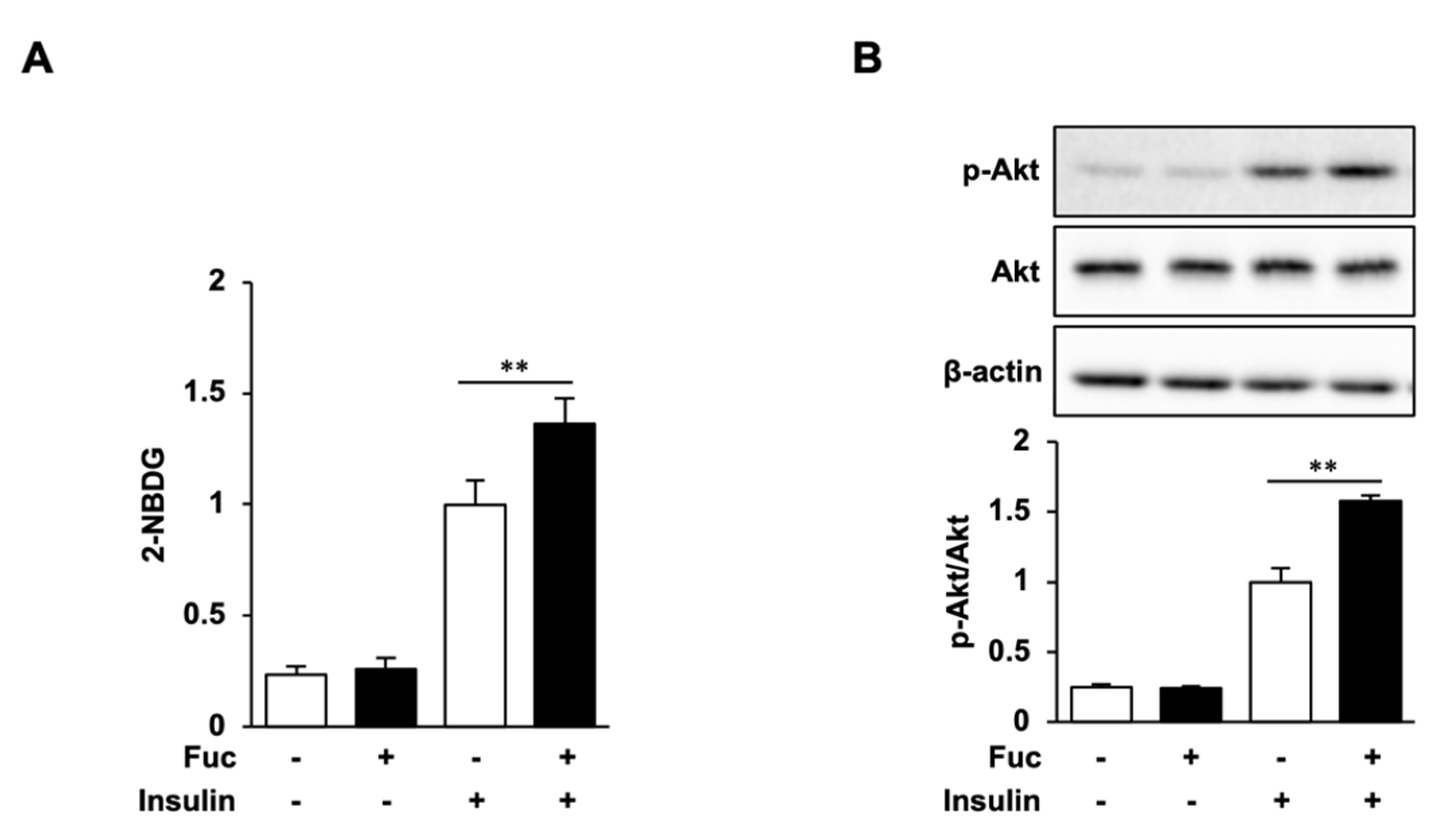 Nutrients 15 00503 g004 Nutrients 15 00503 g004