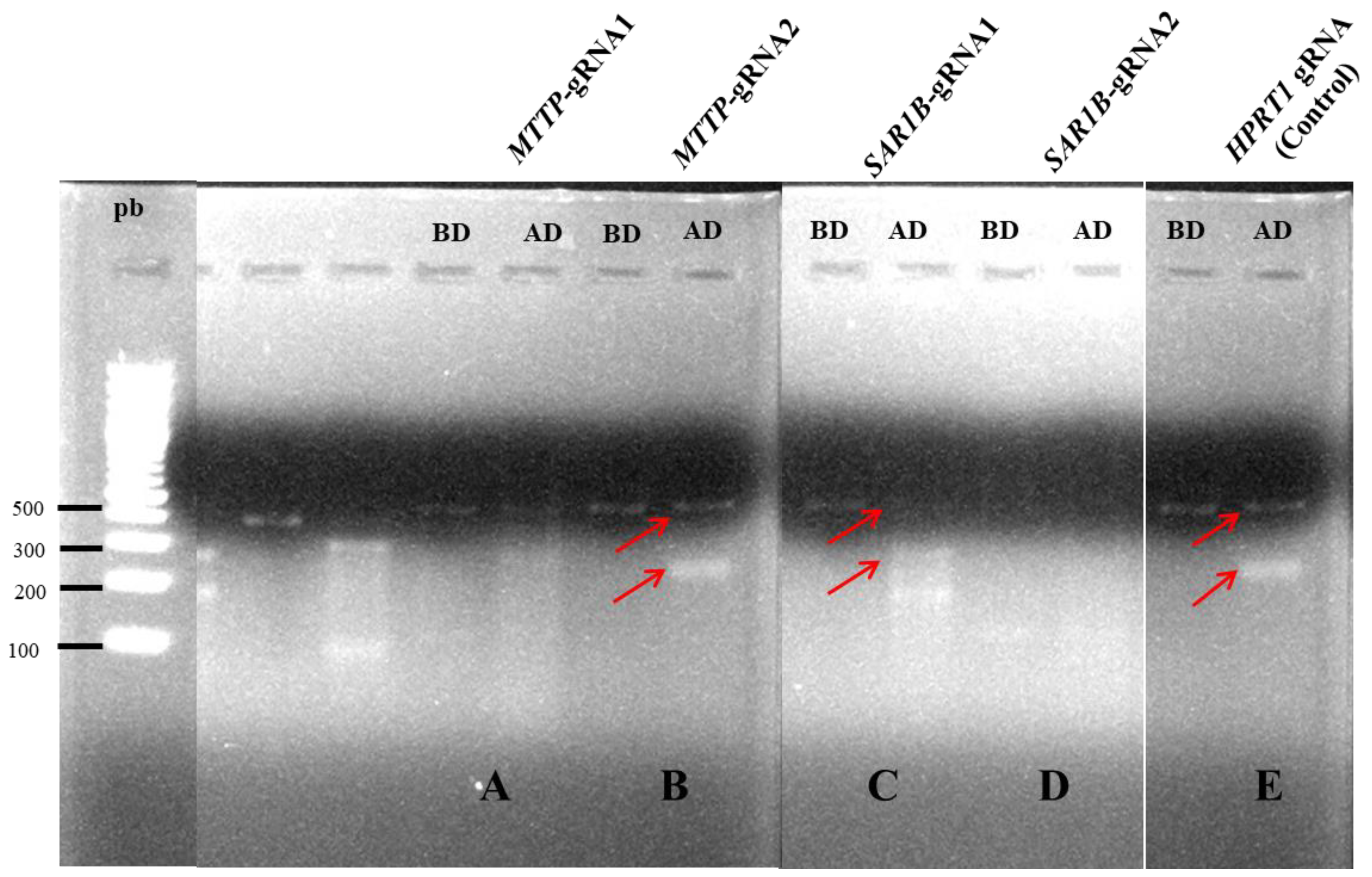 Nutrients 15 00505 g001