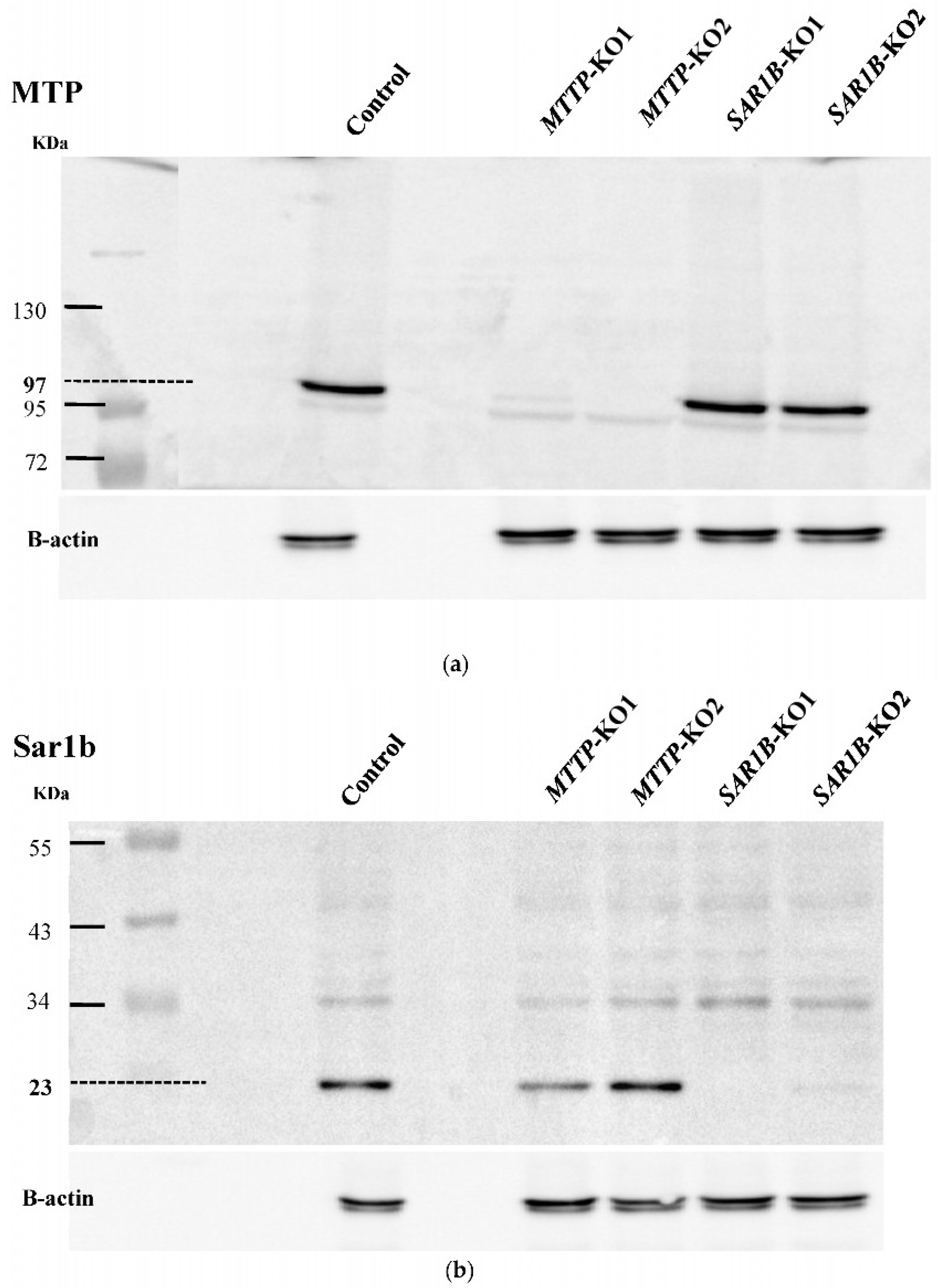 Nutrients 15 00505 g003