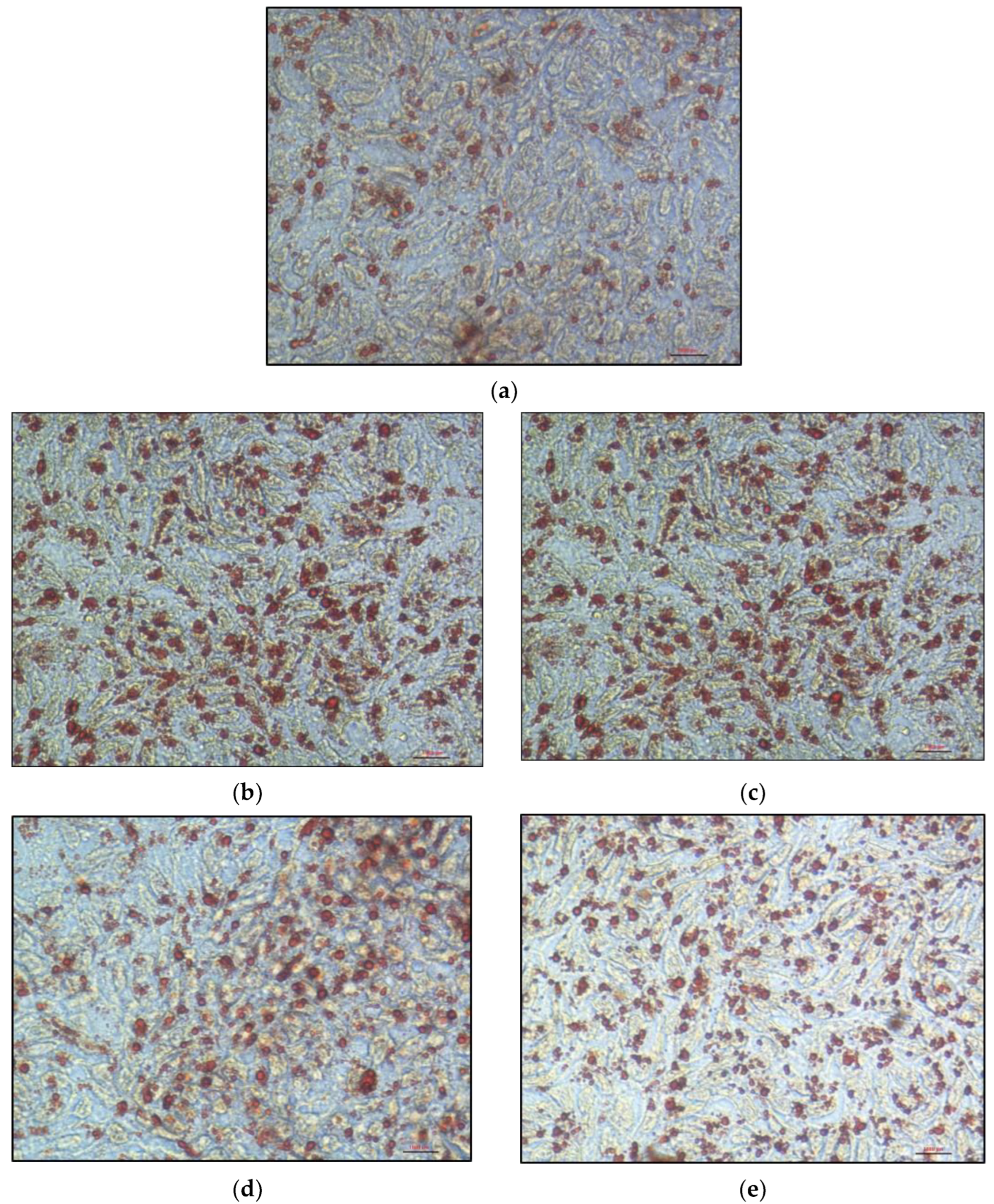 Nutrients 15 00505 g006