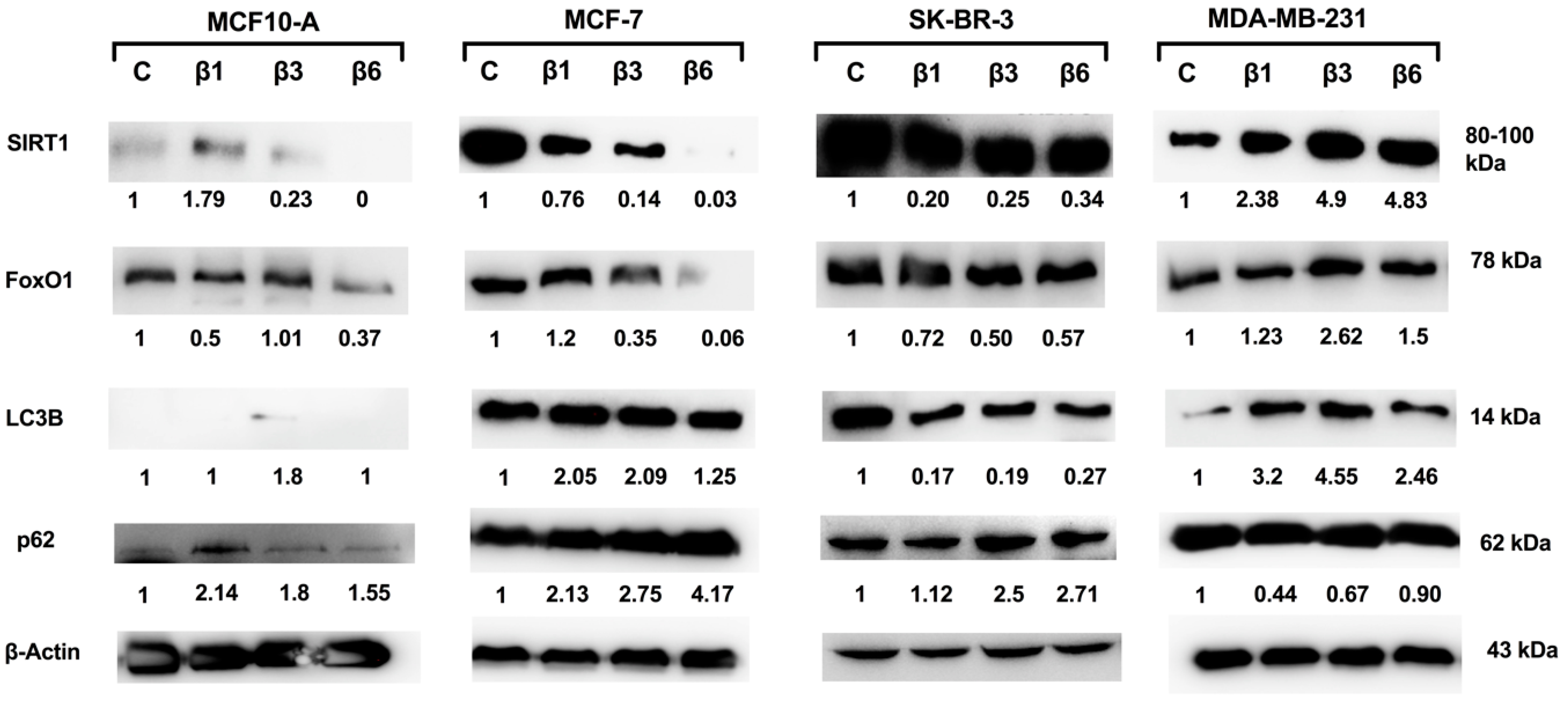 Nutrients 15 00523 g005 Nutrients 15 00523 g005