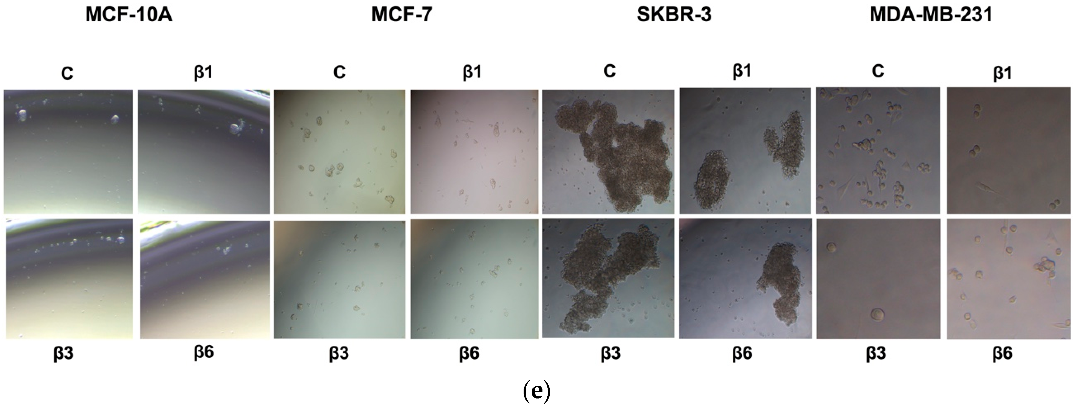 Nutrients 15 00523 g008b Nutrients 15 00523 g008b