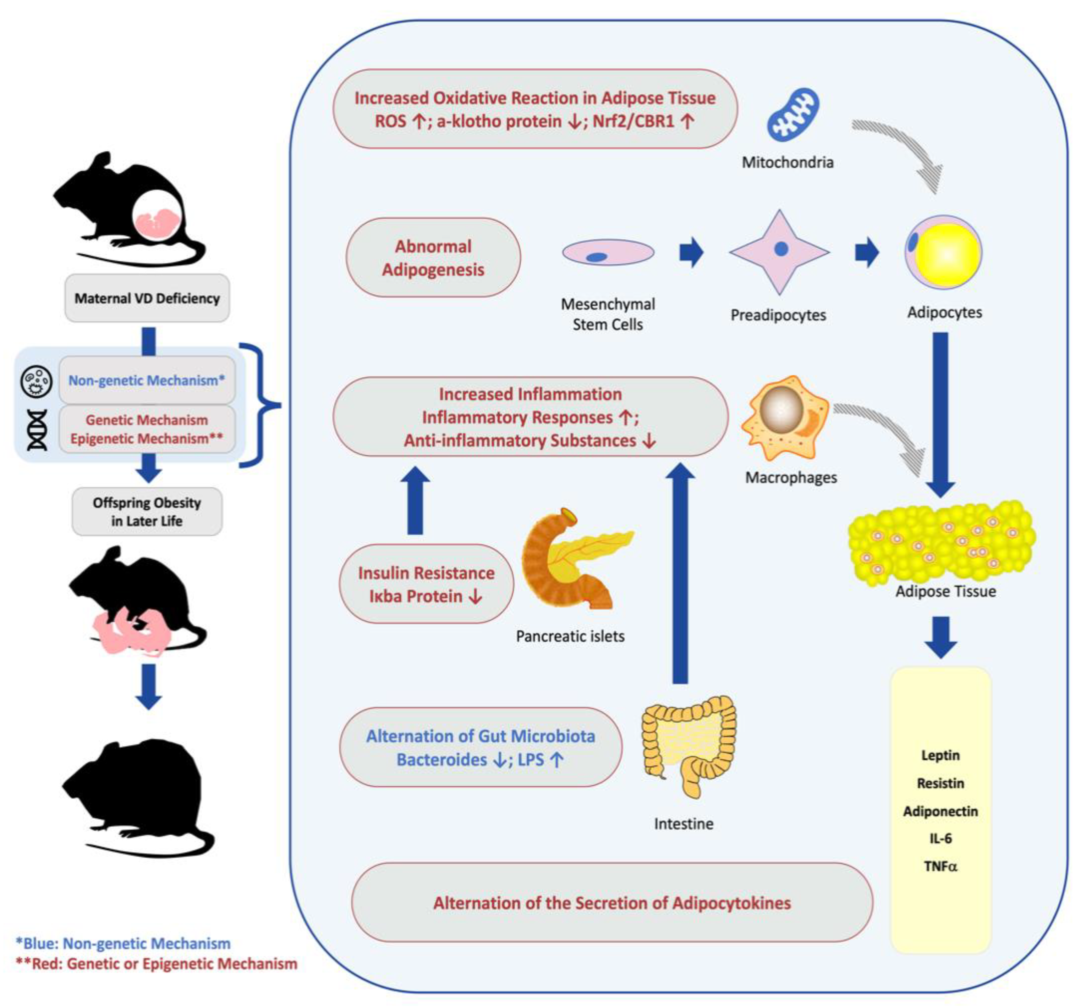 Nutrients 15 00533 g001