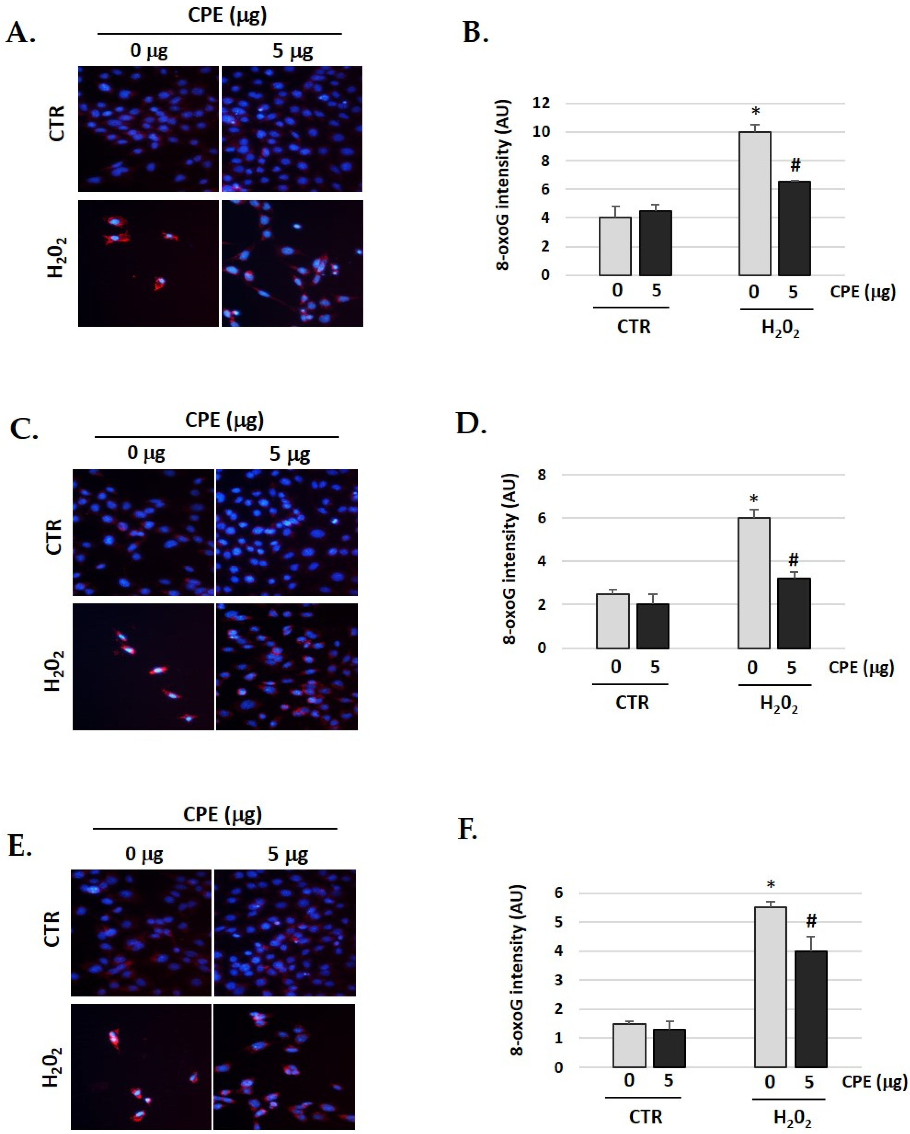 Nutrients 15 00544 g009 Nutrients 15 00544 g009