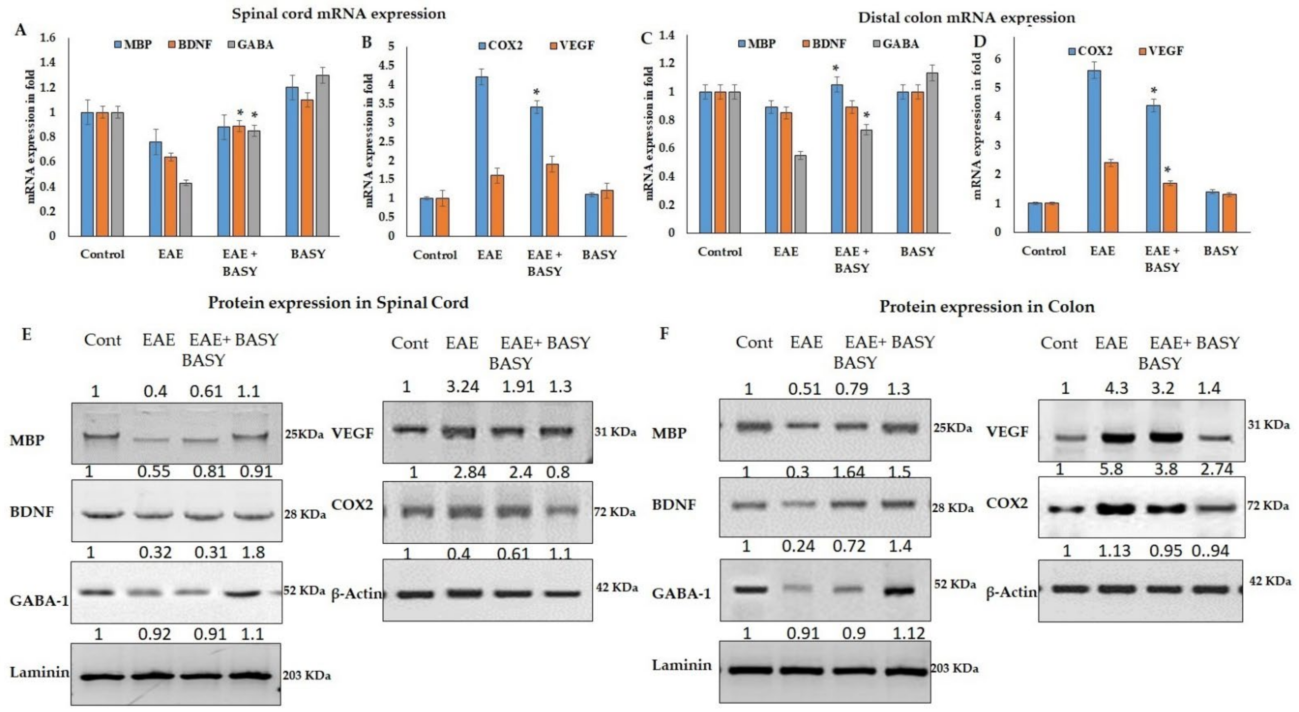 Nutrients 15 00550 g008 Nutrients 15 00550 g008