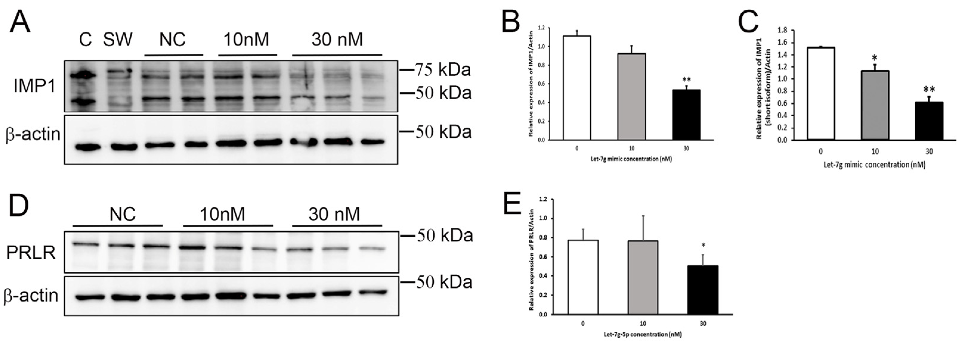 Nutrients 15 00567 g005 Nutrients 15 00567 g005