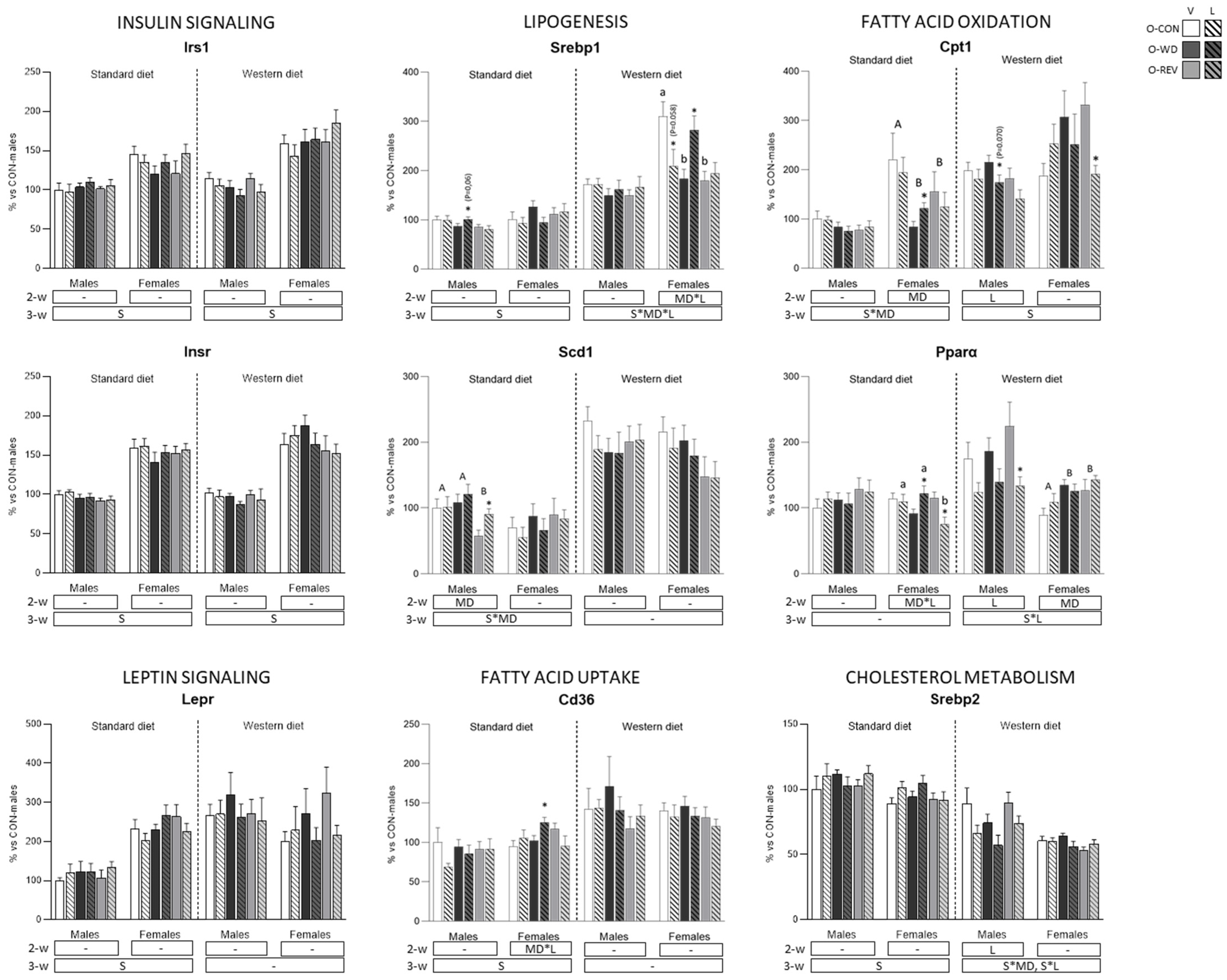 Nutrients 15 00570 g007 Nutrients 15 00570 g007