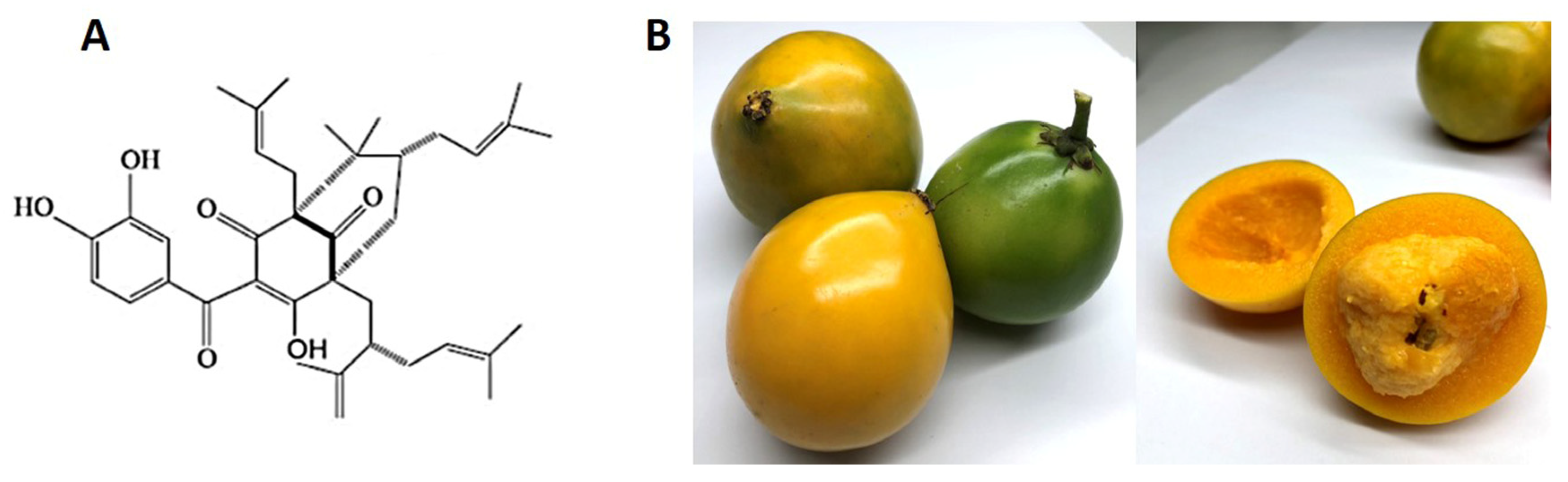 Nutrients 15 00575 g001 Nutrients 15 00575 g001