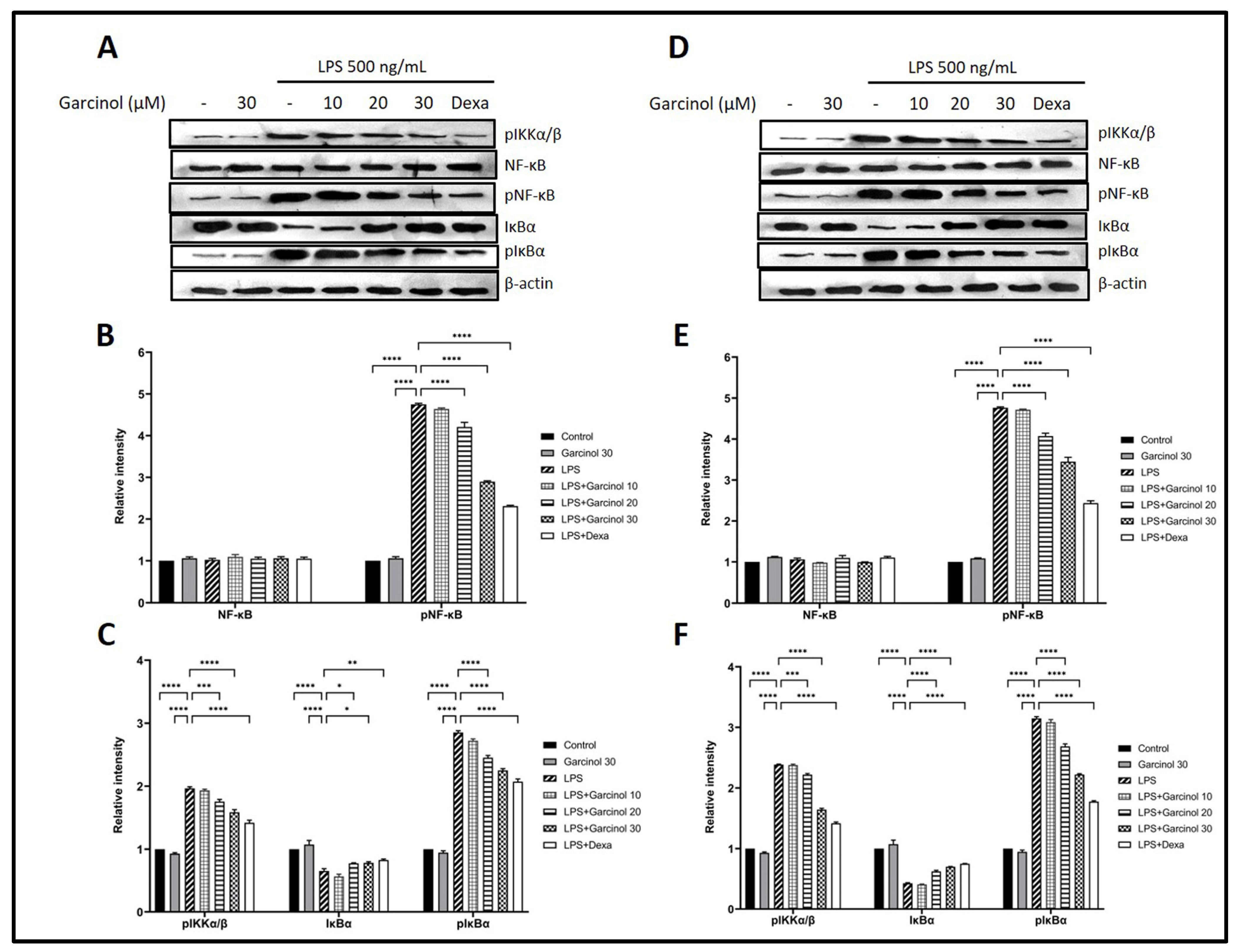 Nutrients 15 00575 g006 Nutrients 15 00575 g006