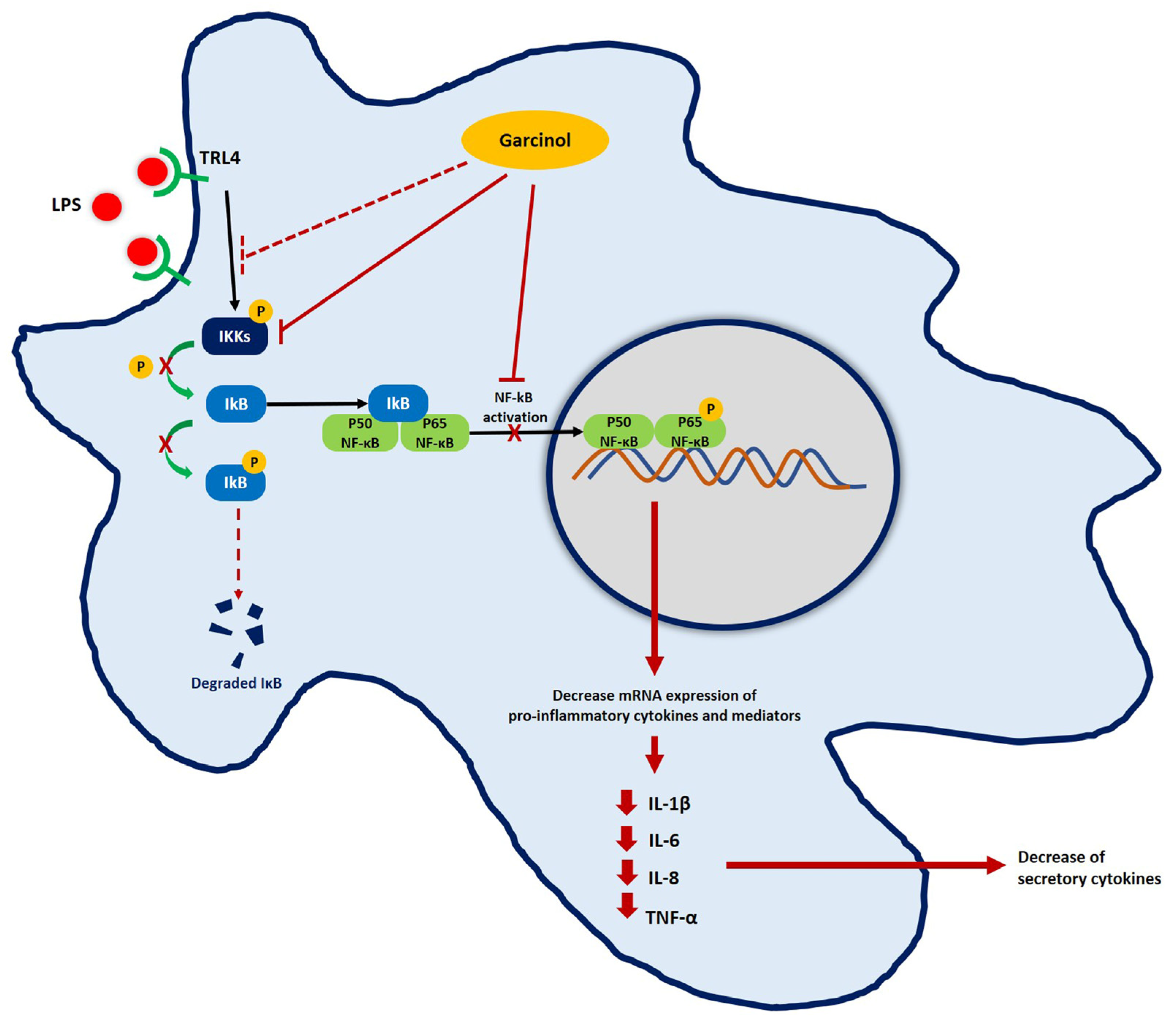 Nutrients 15 00575 g008 Nutrients 15 00575 g008