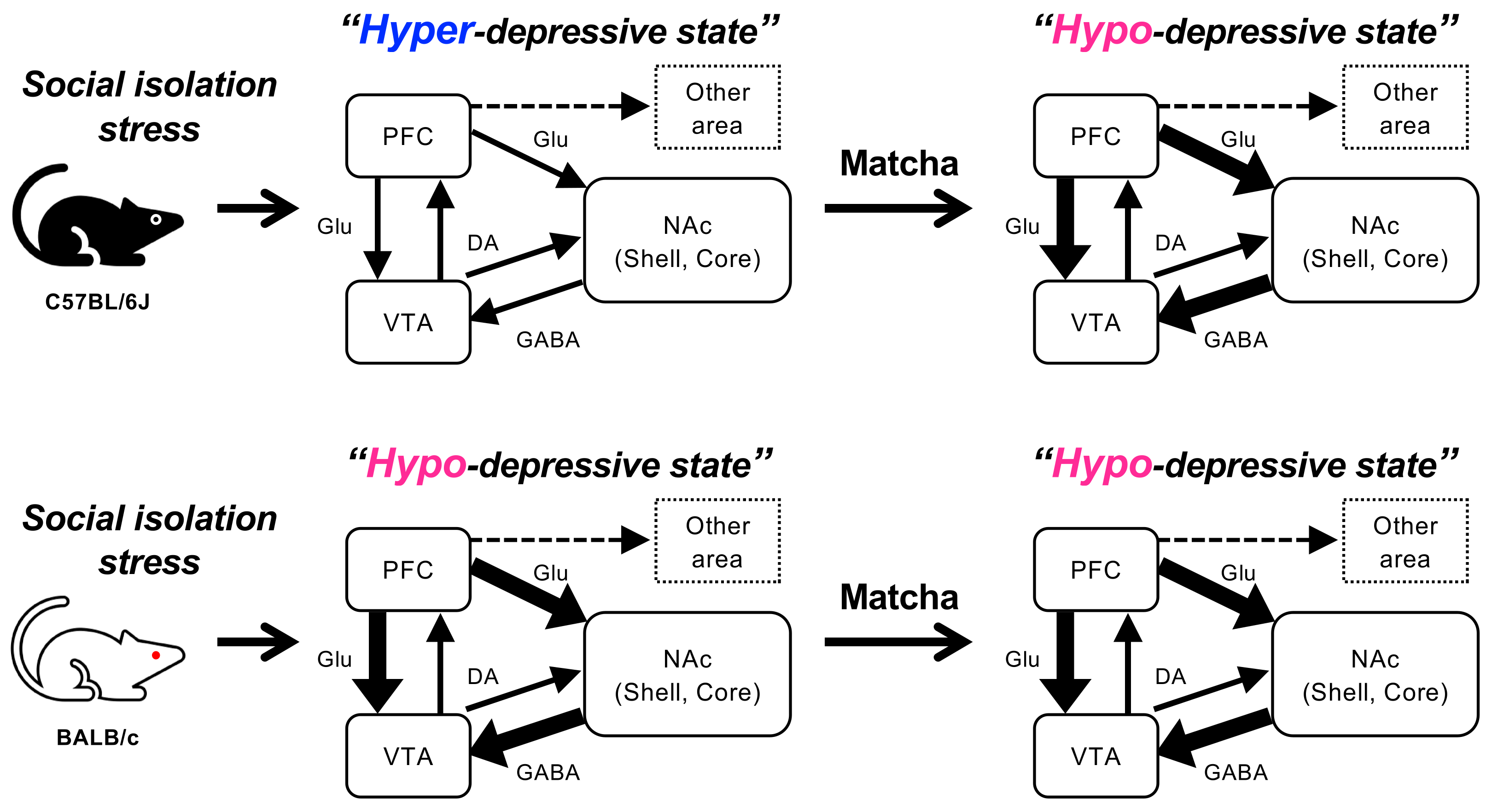 Nutrients 15 00581 g007 Nutrients 15 00581 g007