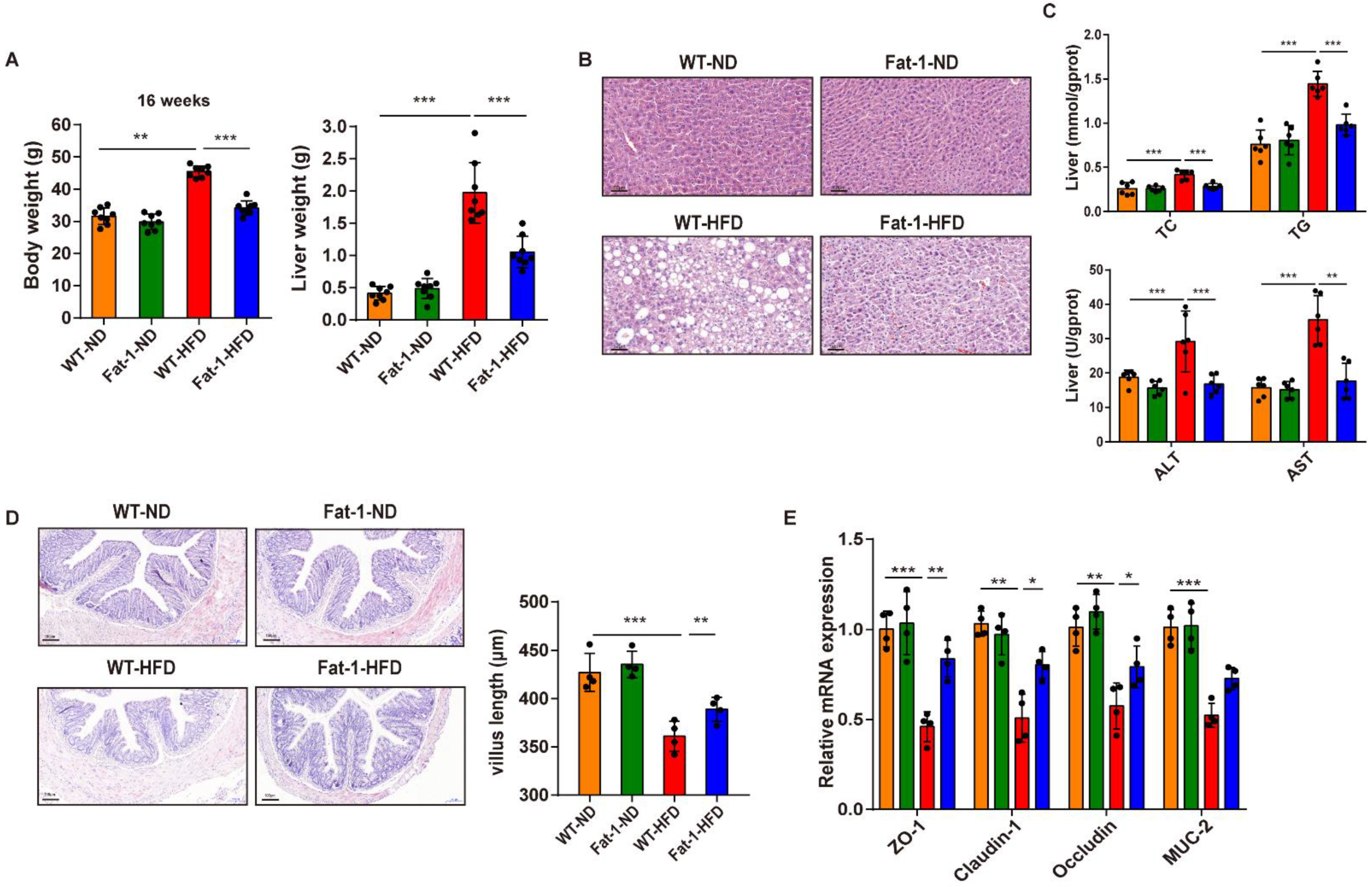 Nutrients 15 00586 g001 Nutrients 15 00586 g001
