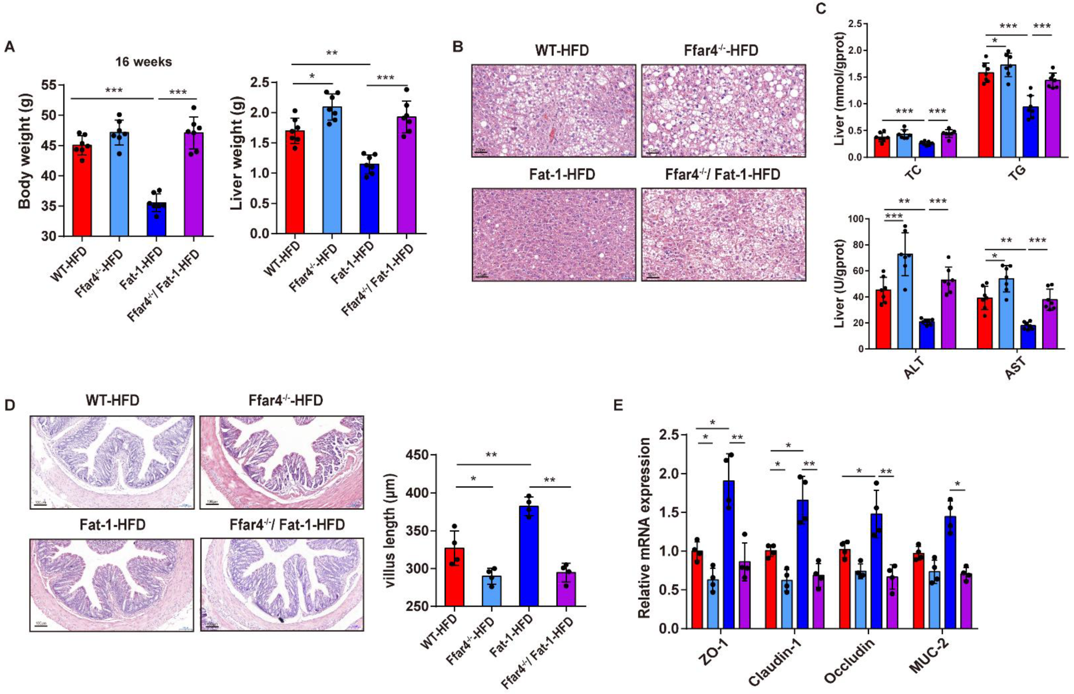 Nutrients 15 00586 g002 Nutrients 15 00586 g002