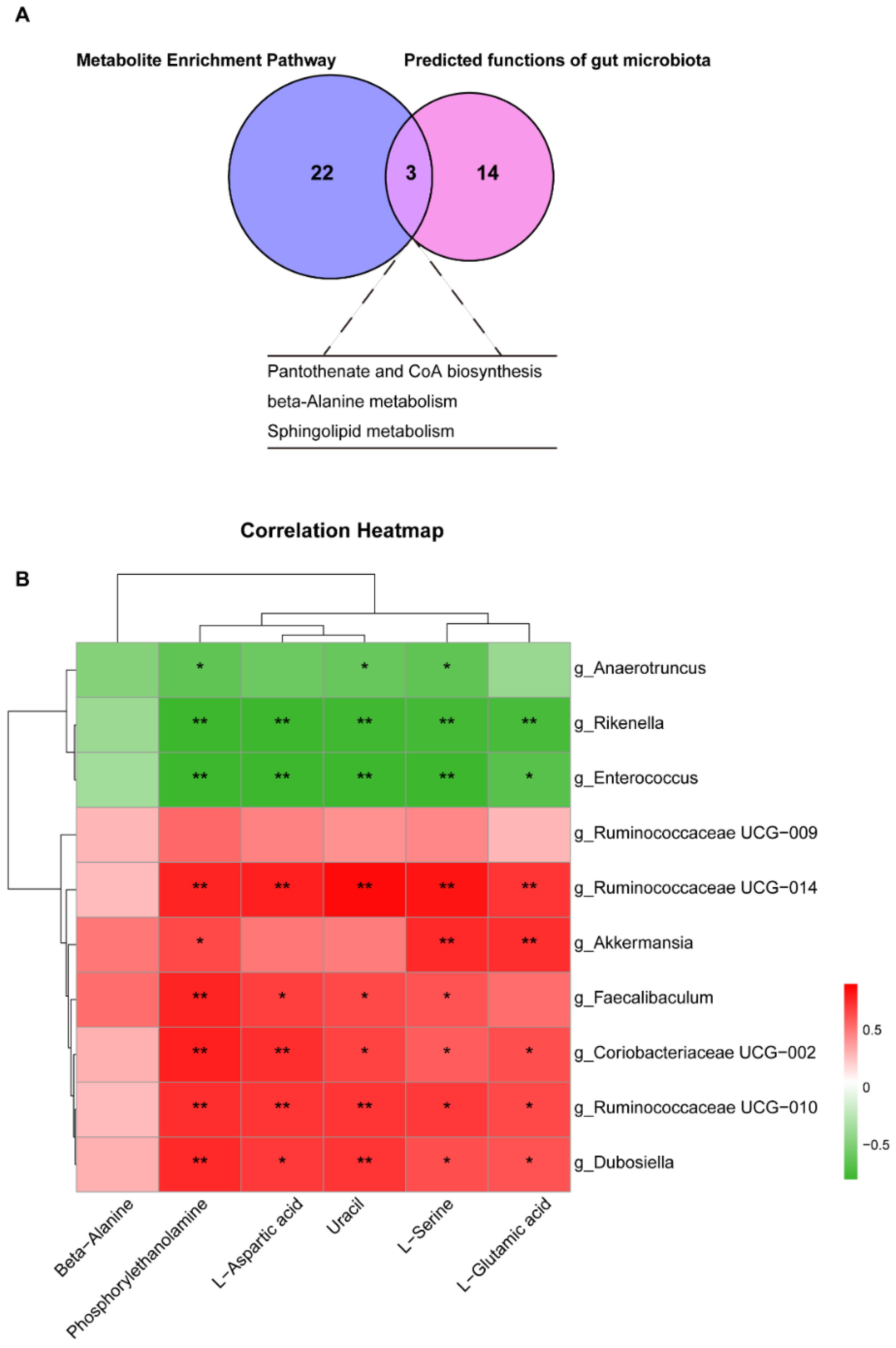 Nutrients 15 00586 g006 Nutrients 15 00586 g006