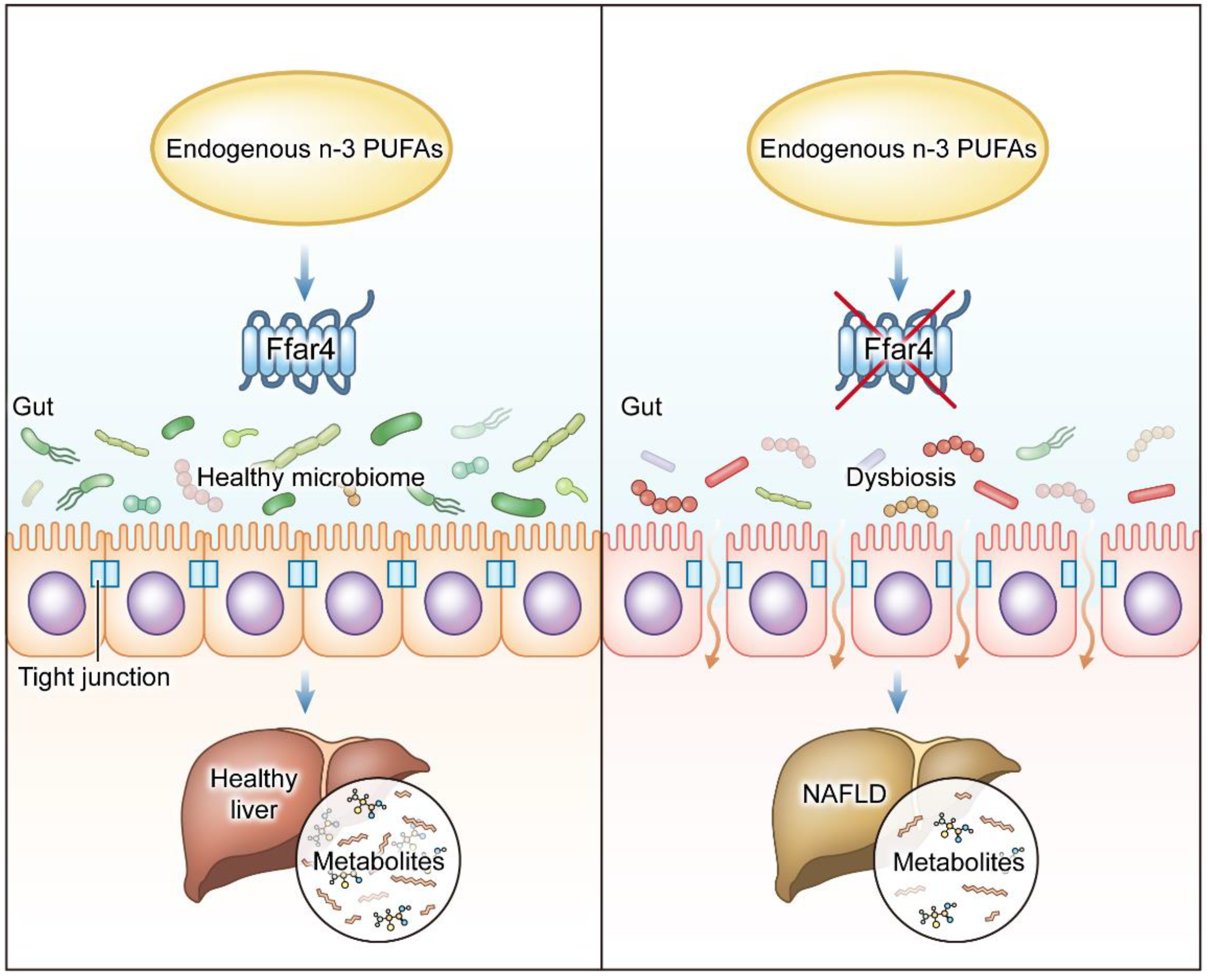 Nutrients 15 00586 g007 Nutrients 15 00586 g007