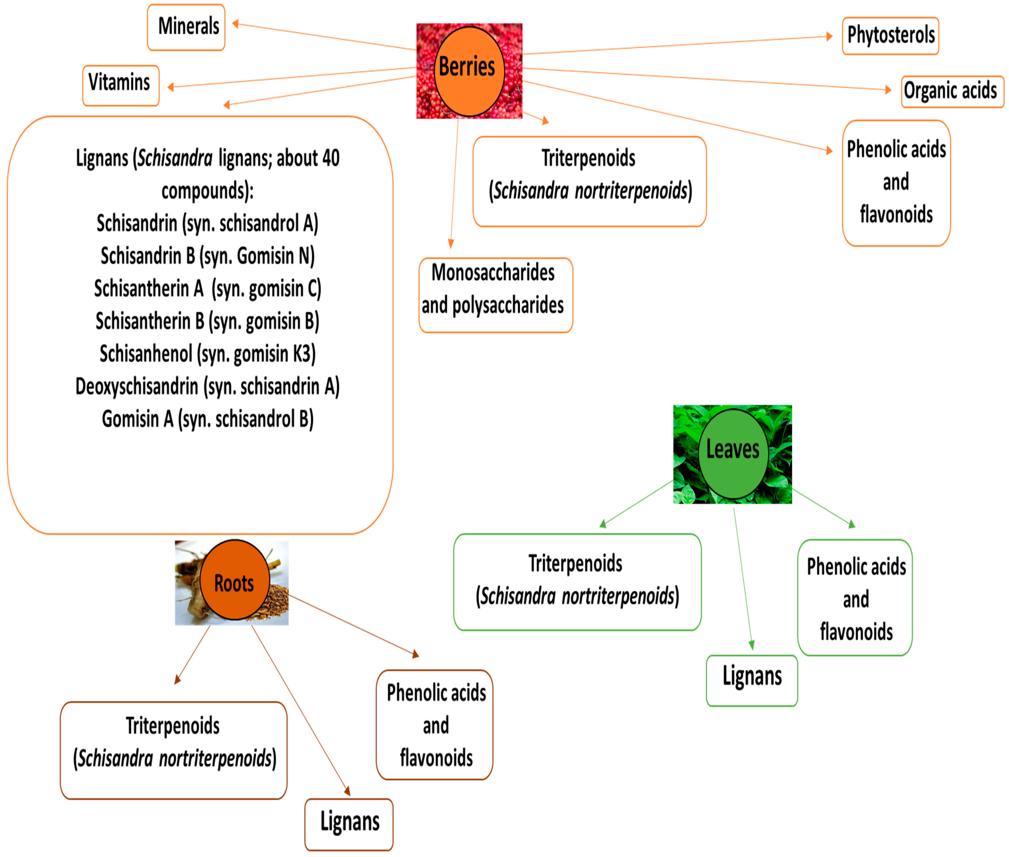 Nutrients 15 00592 g001 Nutrients 15 00592 g001