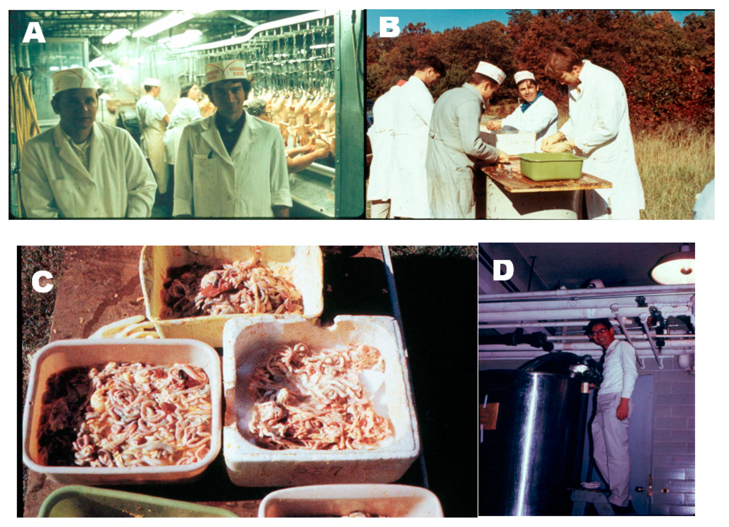 Nutrients 15 00593 g009