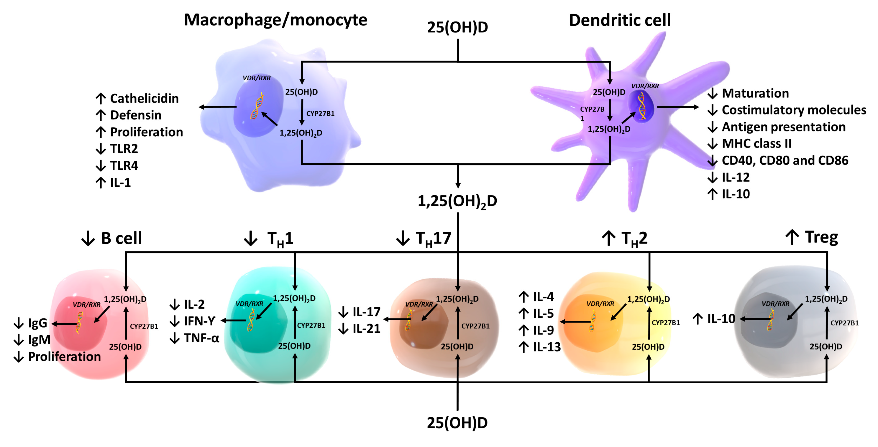 Nutrients 15 00593 g013