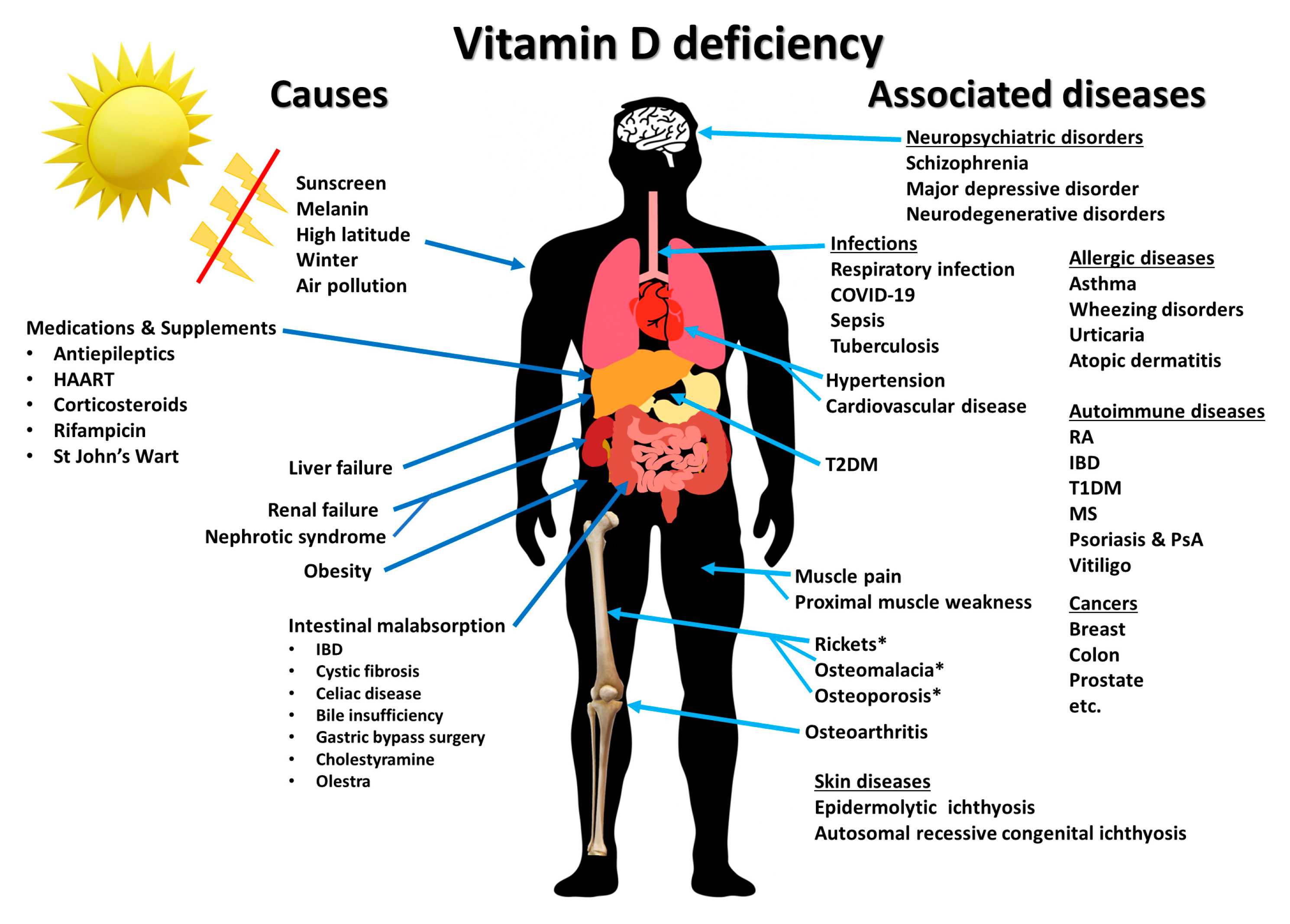 Nutrients 15 00593 g015