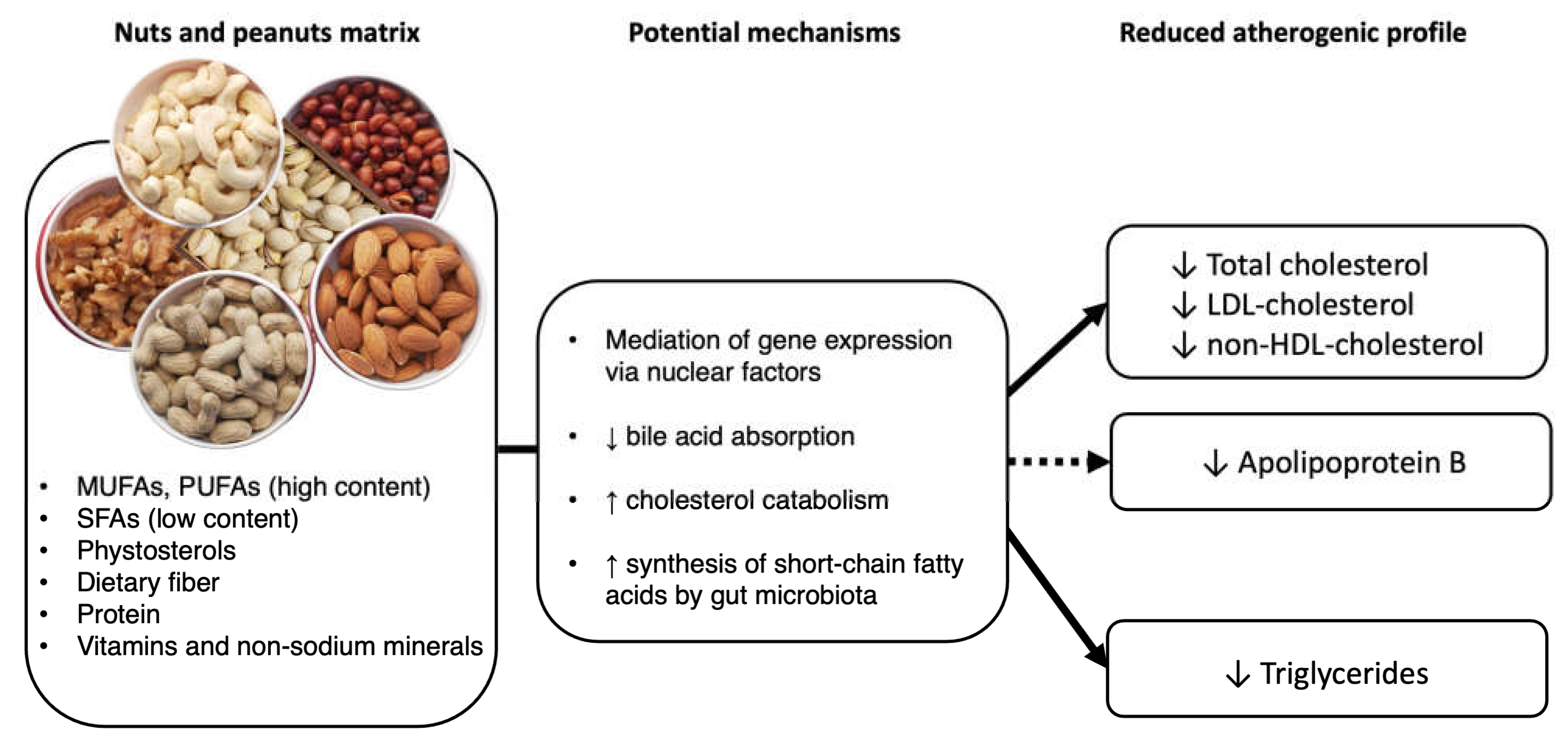 Nutrients 15 00596 g001