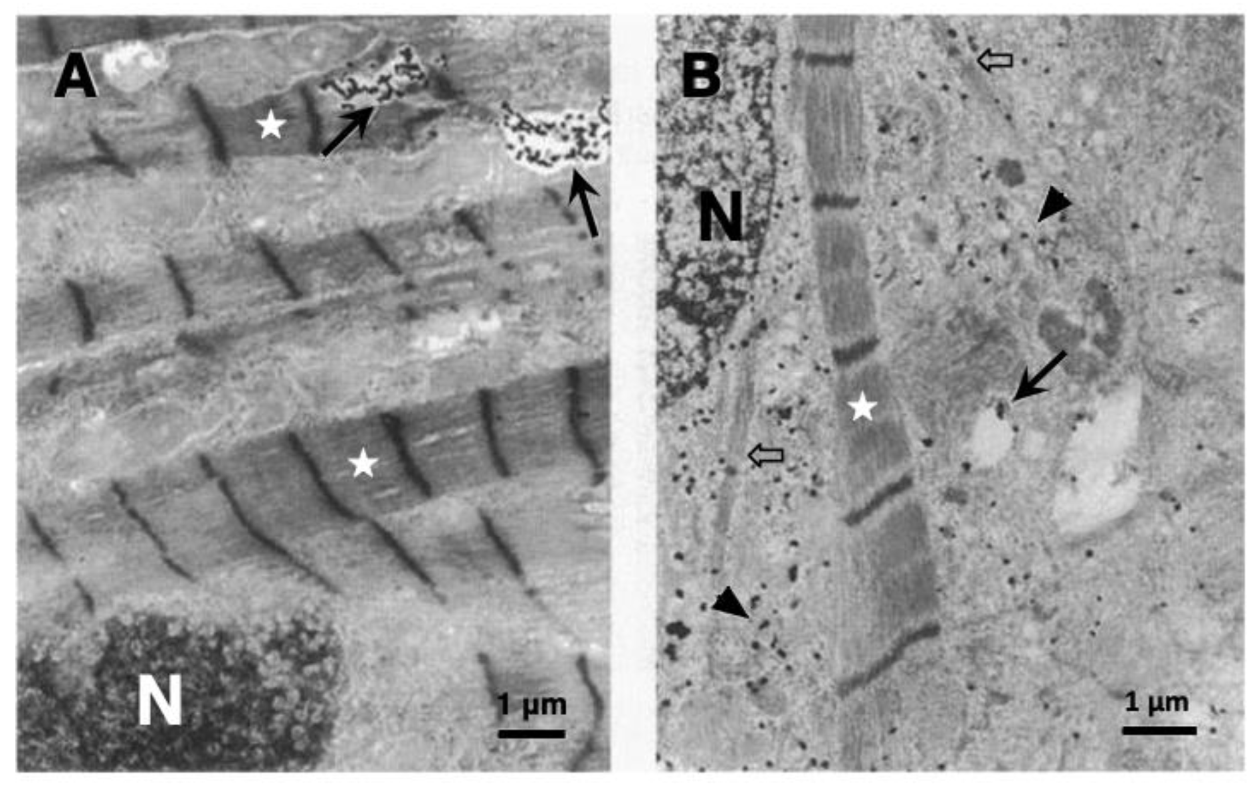 Nutrients 15 00609 g001 Nutrients 15 00609 g001