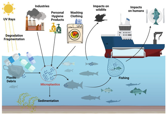 Nutrients | Free Full-Text | Microplastics: A Real Global Threat