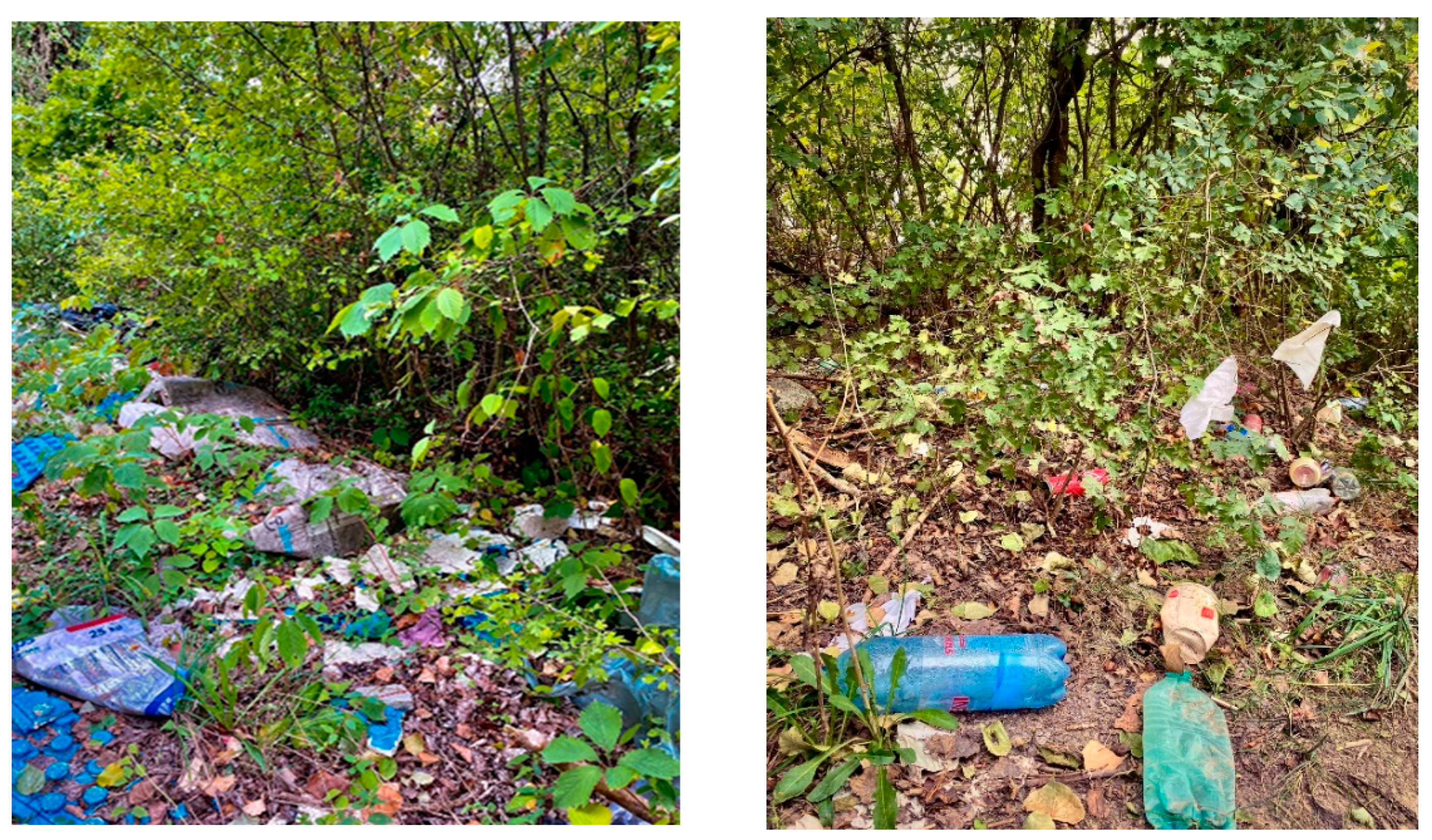 Nutrients 15 00617 g002b Nutrients 15 00617 g002b