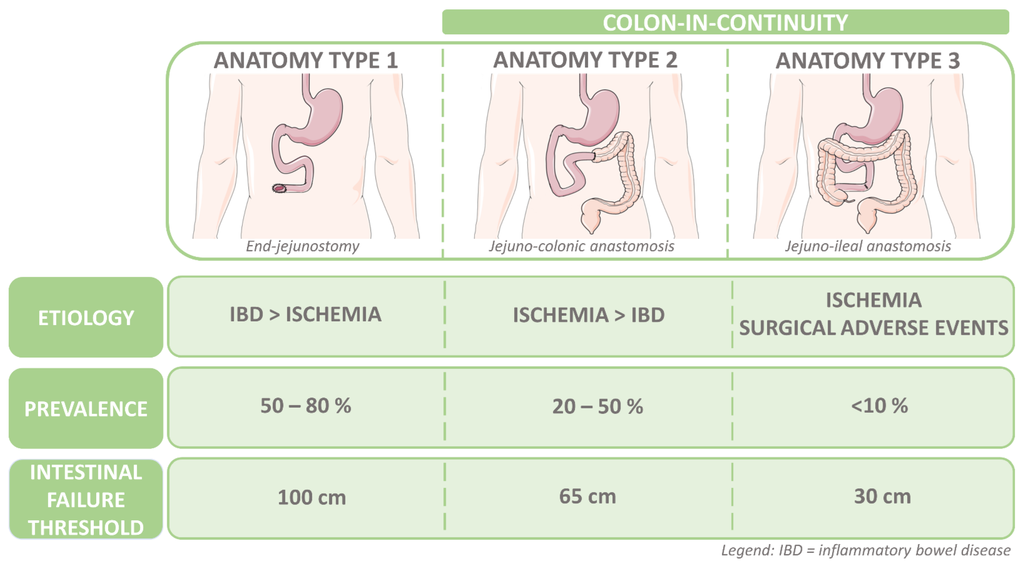 Sigmoid Colon Resection Diet