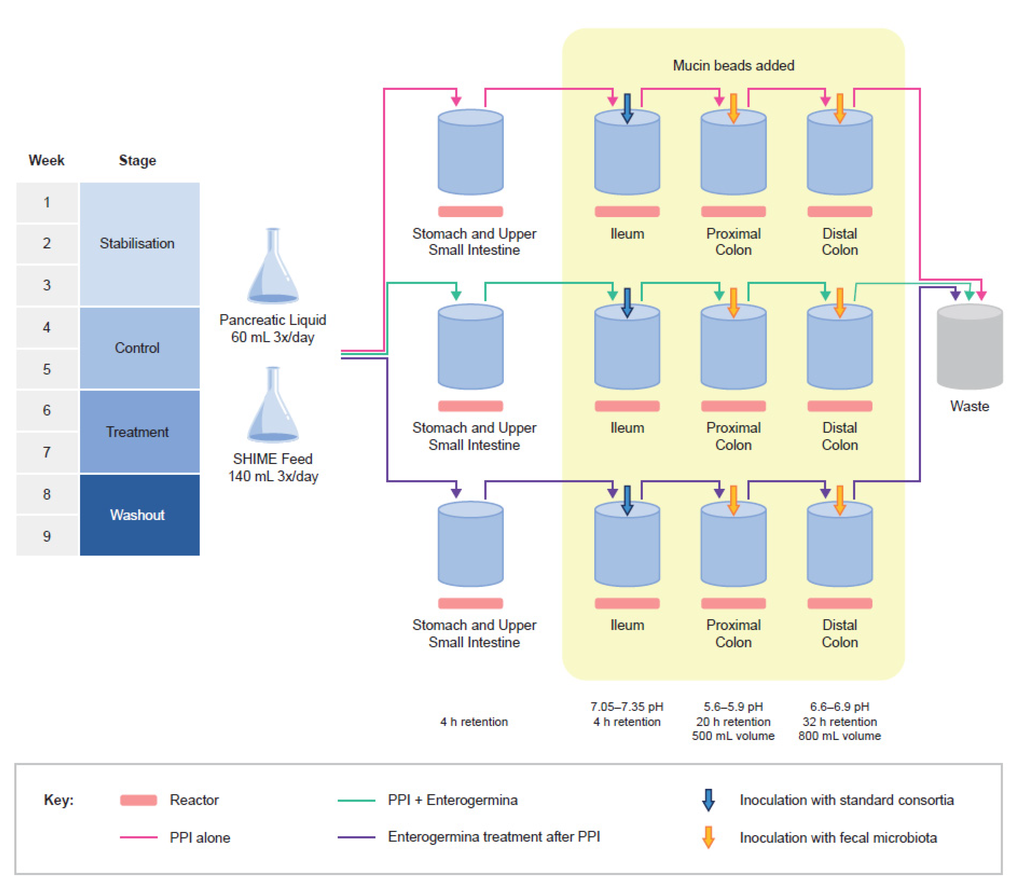 Nutrients 15 00653 g001