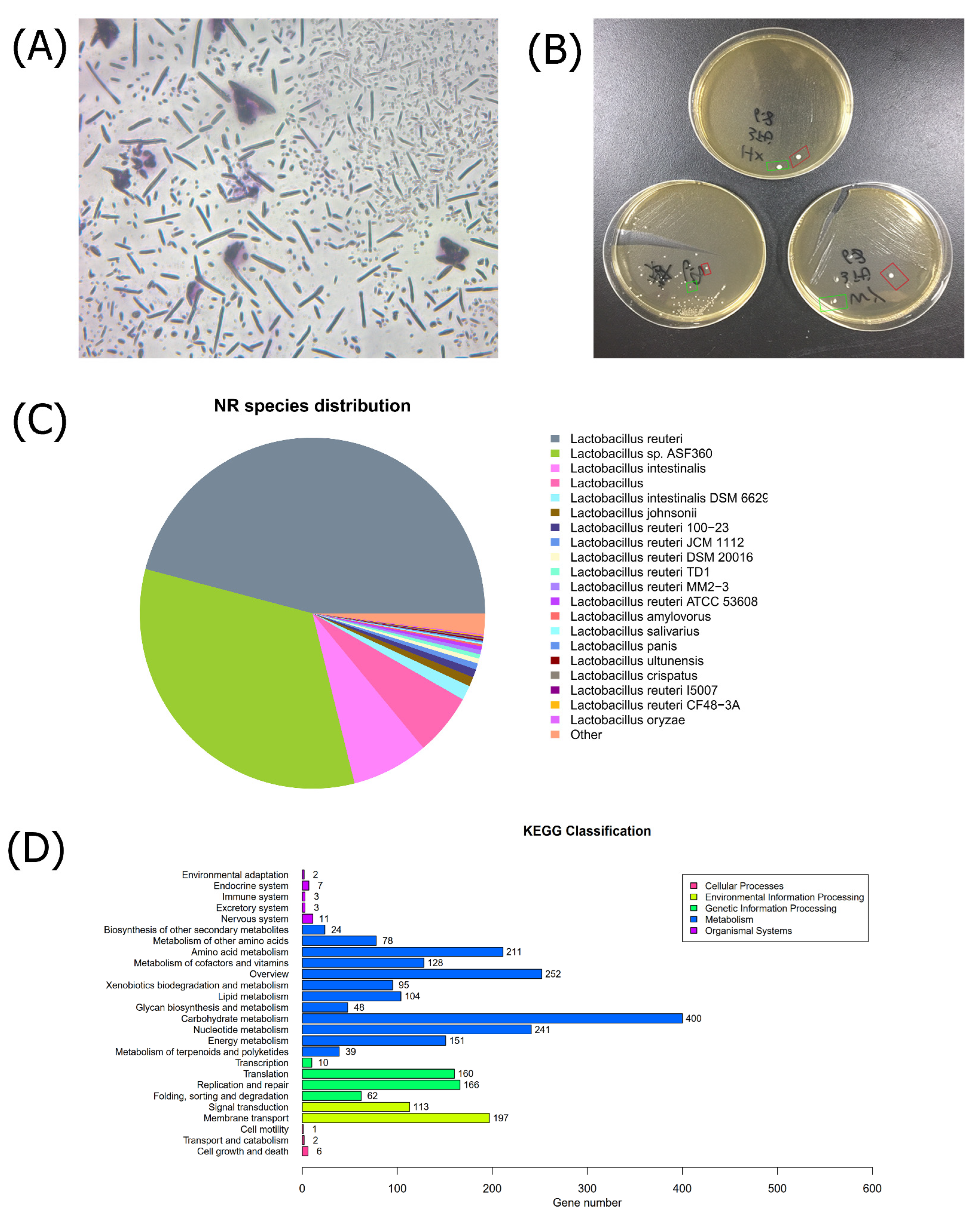 Nutrients 15 00670 g001 Nutrients 15 00670 g001
