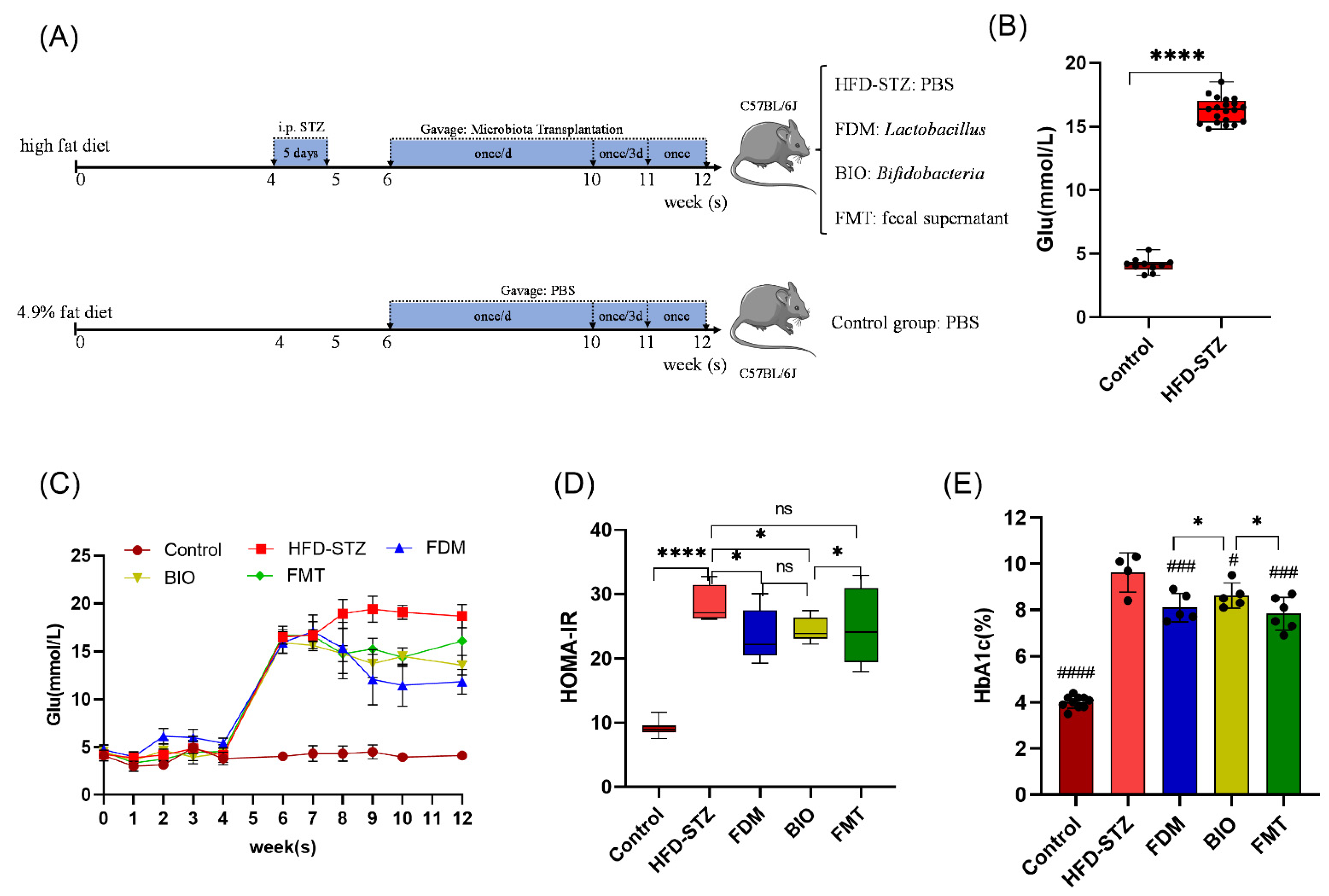 Nutrients 15 00670 g002 Nutrients 15 00670 g002