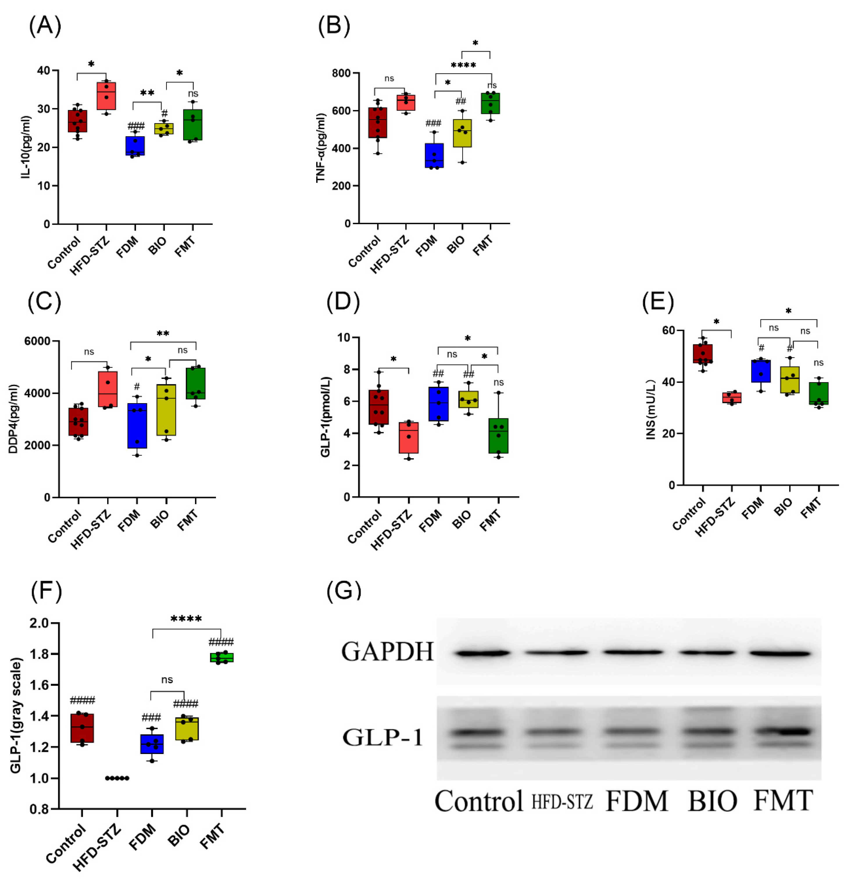 Nutrients 15 00670 g004 Nutrients 15 00670 g004