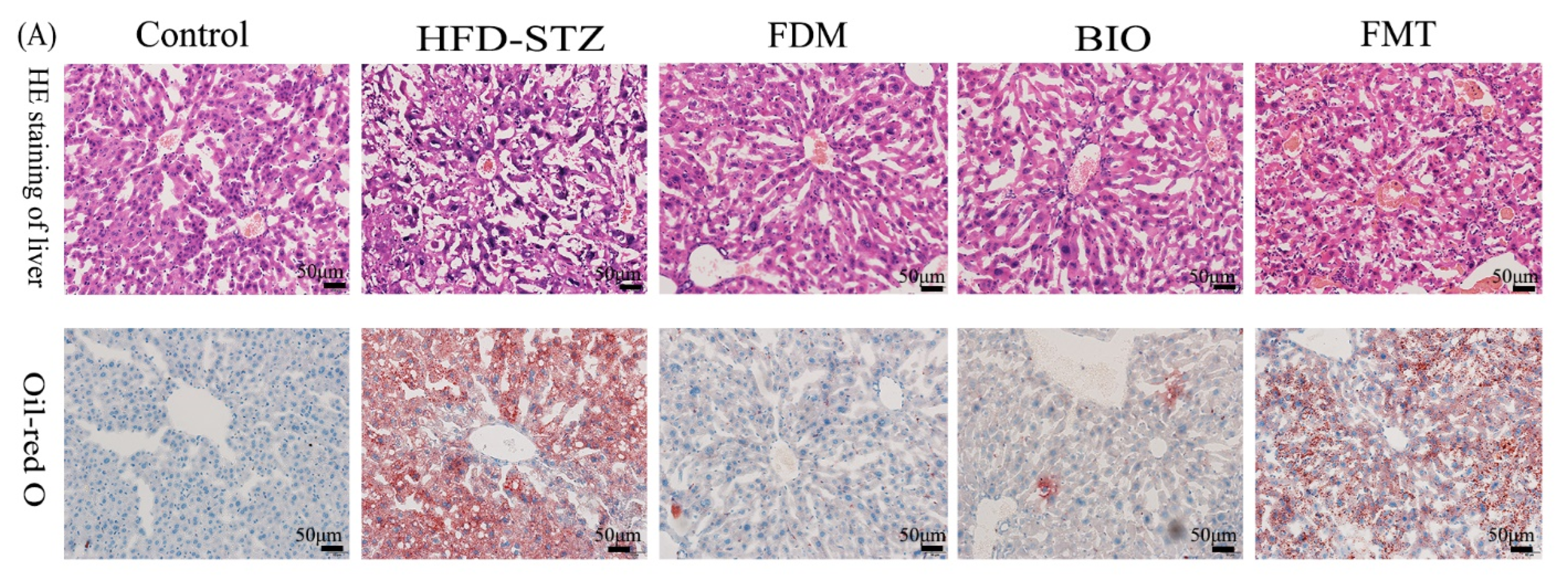 Nutrients 15 00670 g006a Nutrients 15 00670 g006a