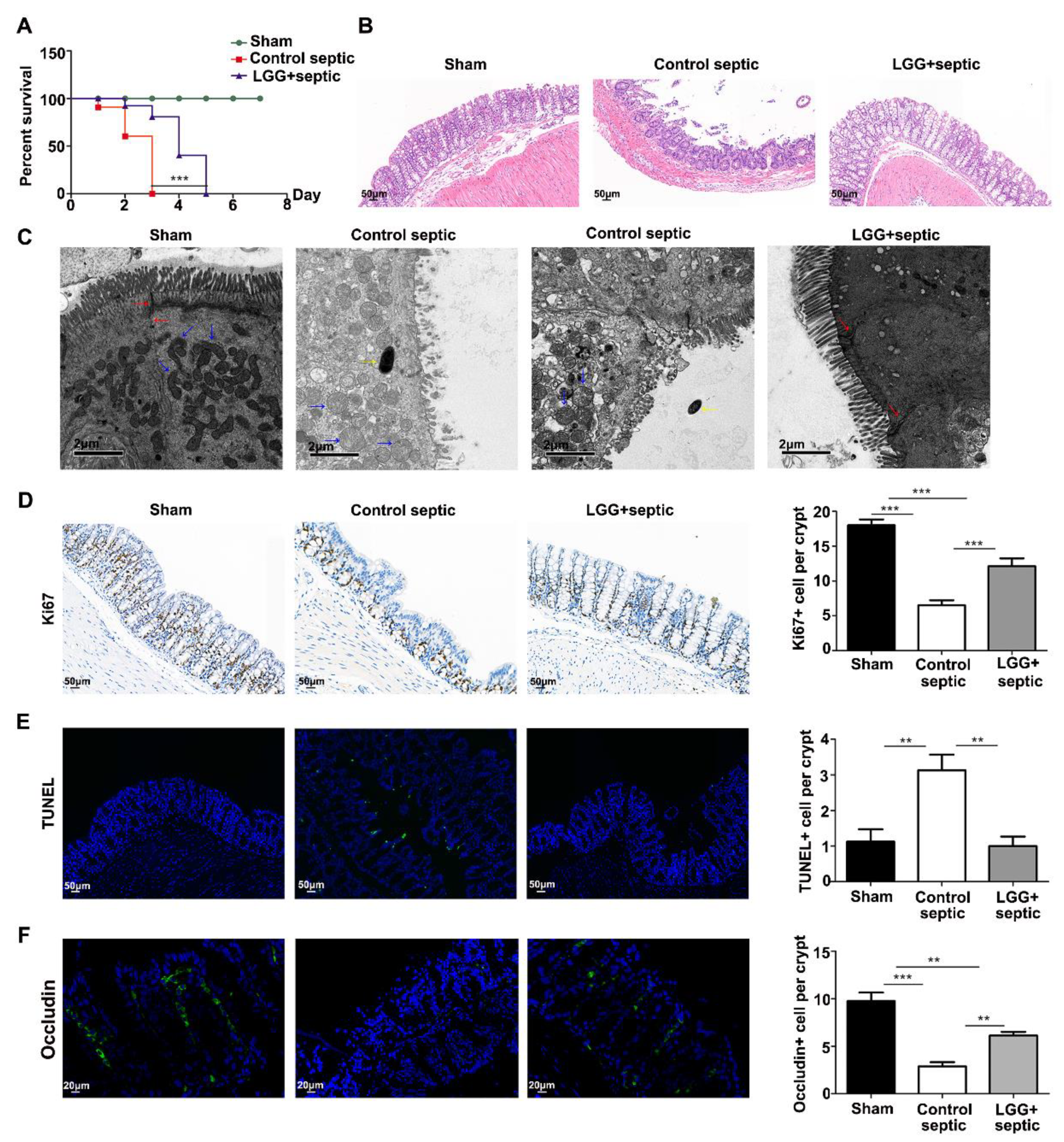 Nutrients 15 00672 g002 Nutrients 15 00672 g002