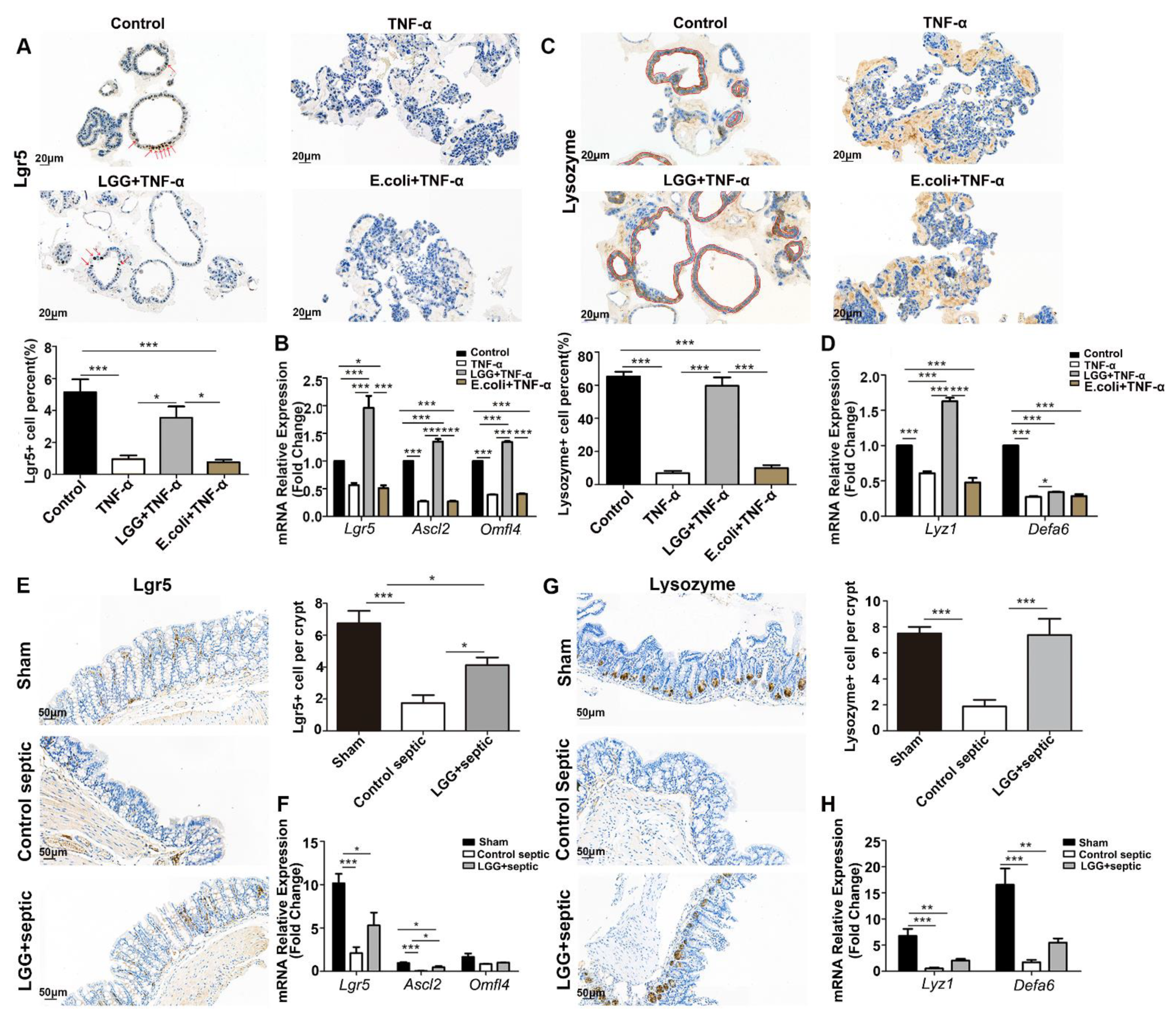 Nutrients 15 00672 g004 Nutrients 15 00672 g004