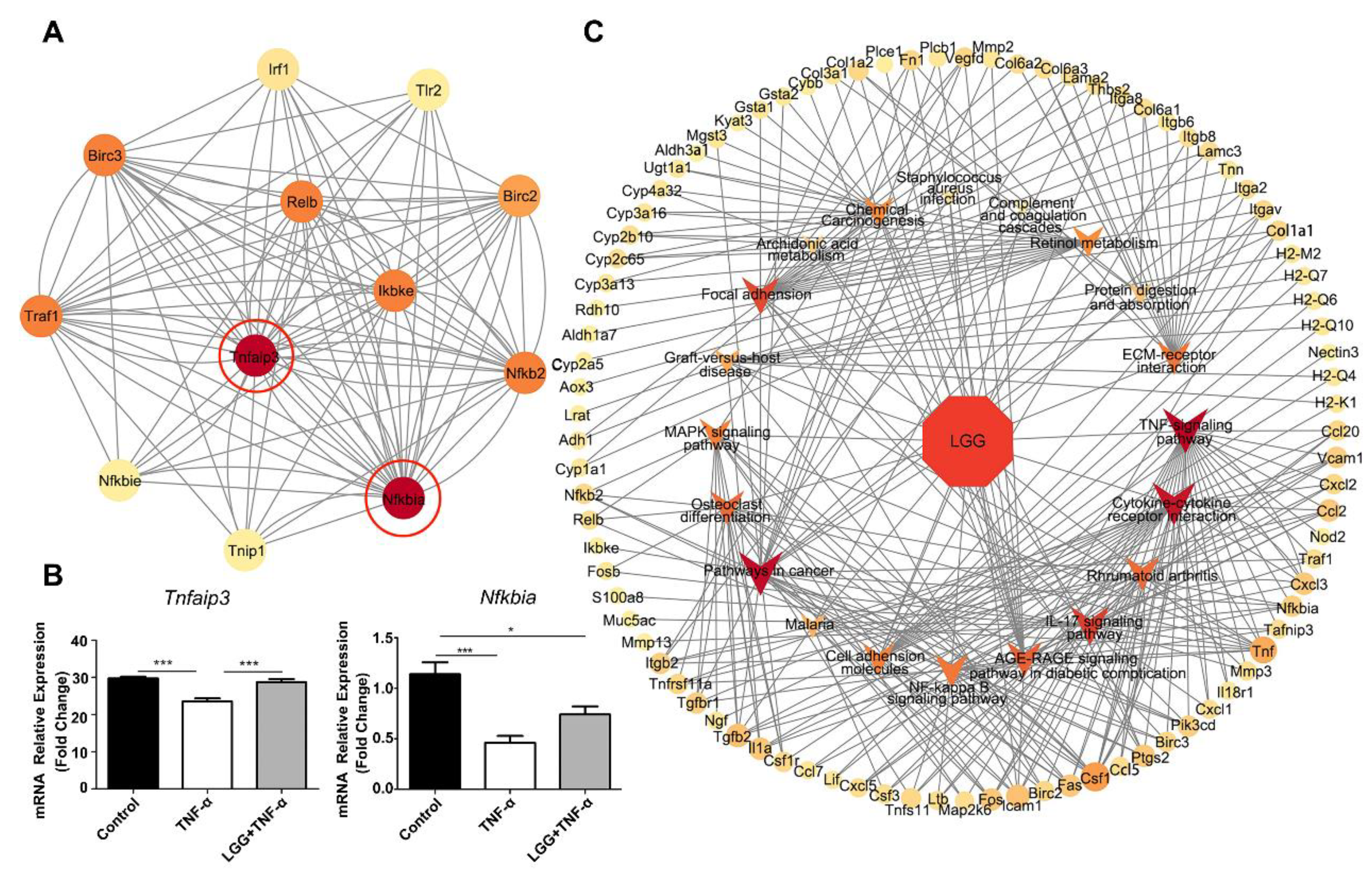 Nutrients 15 00672 g006 Nutrients 15 00672 g006