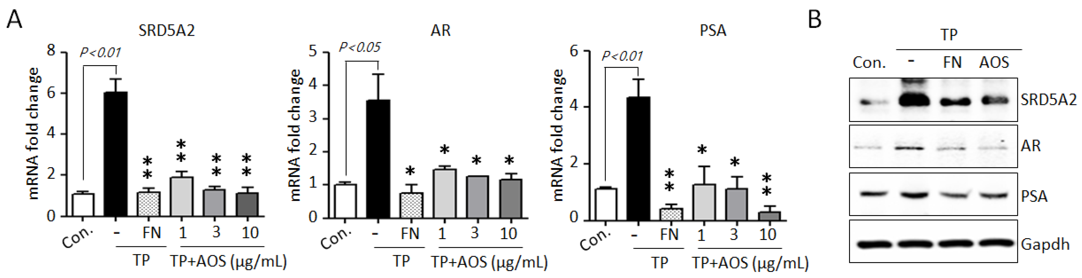 Nutrients 15 00682 g002
