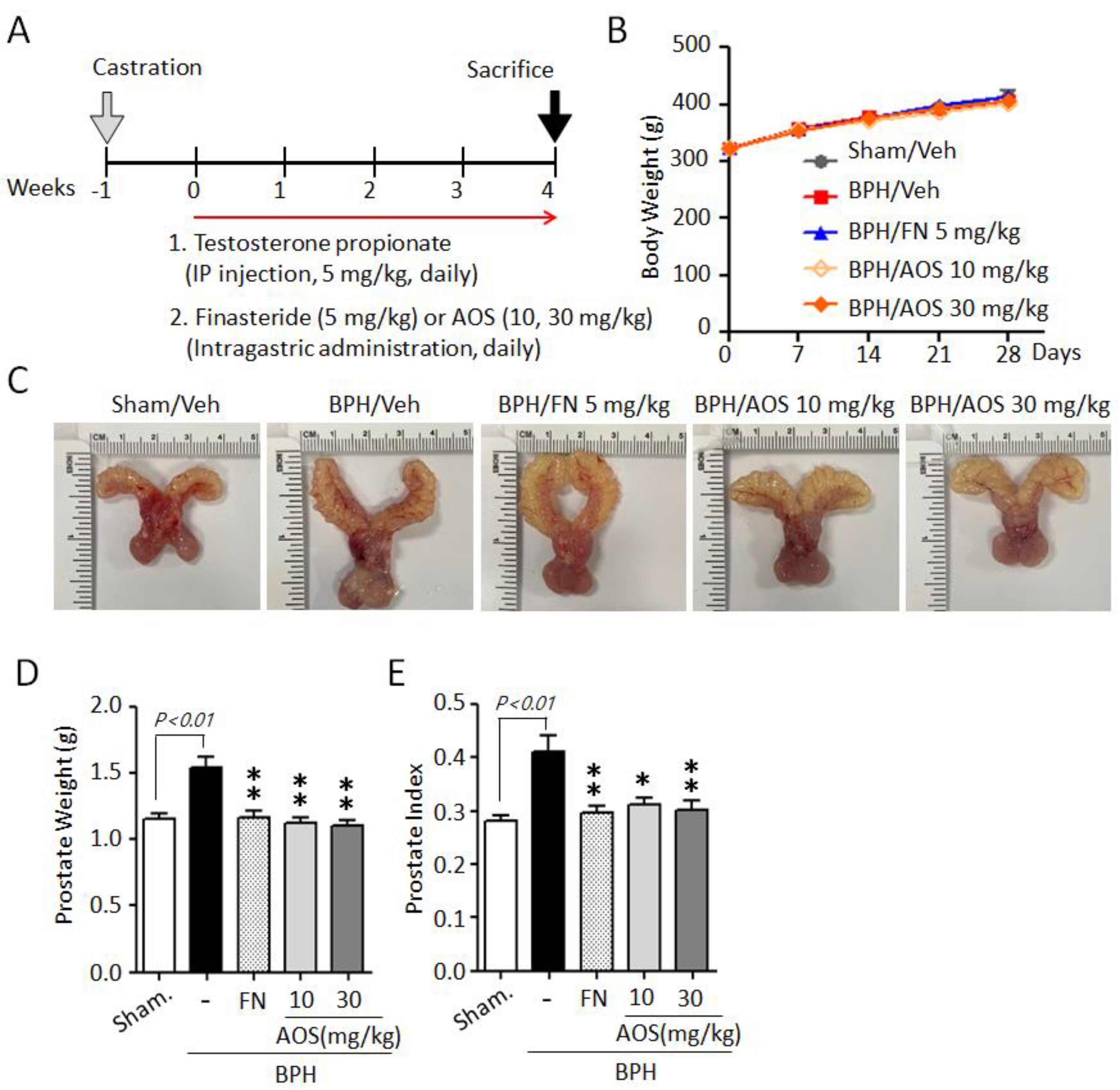Nutrients 15 00682 g003