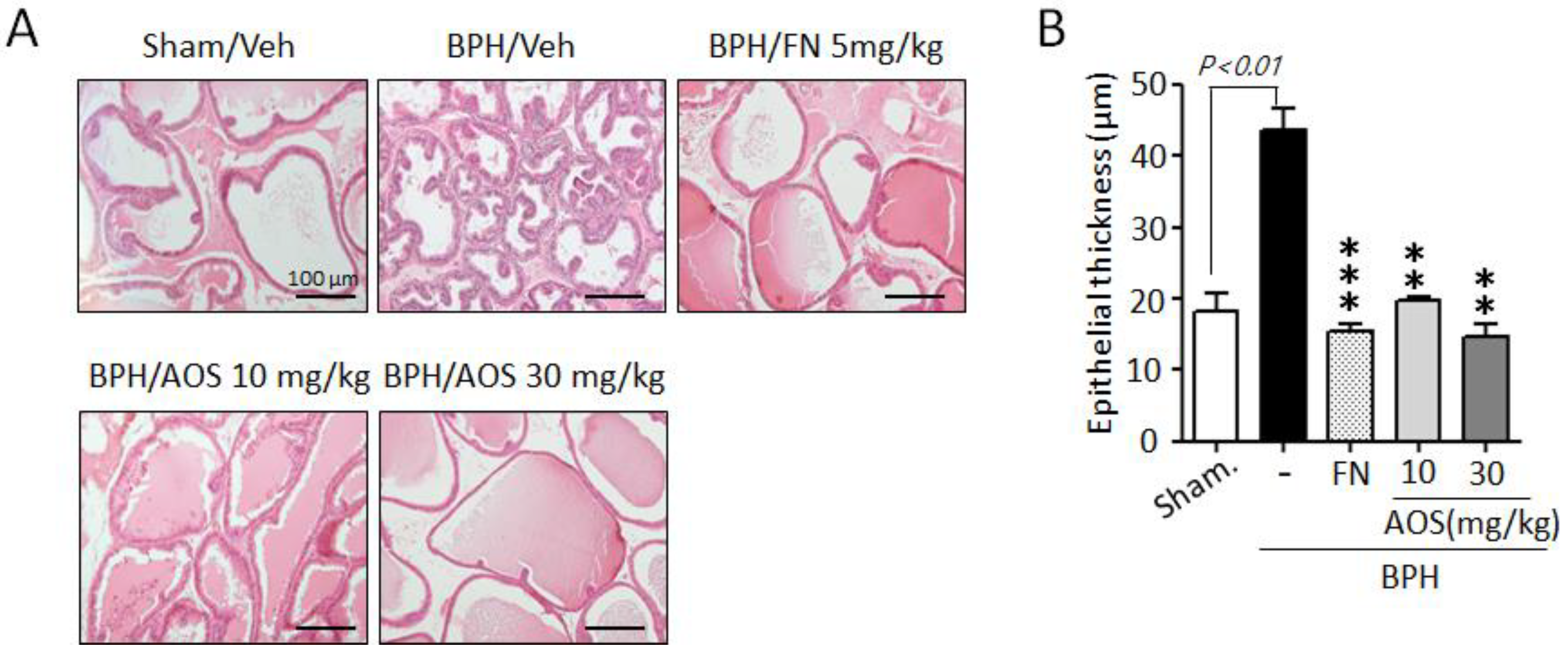 Nutrients 15 00682 g004