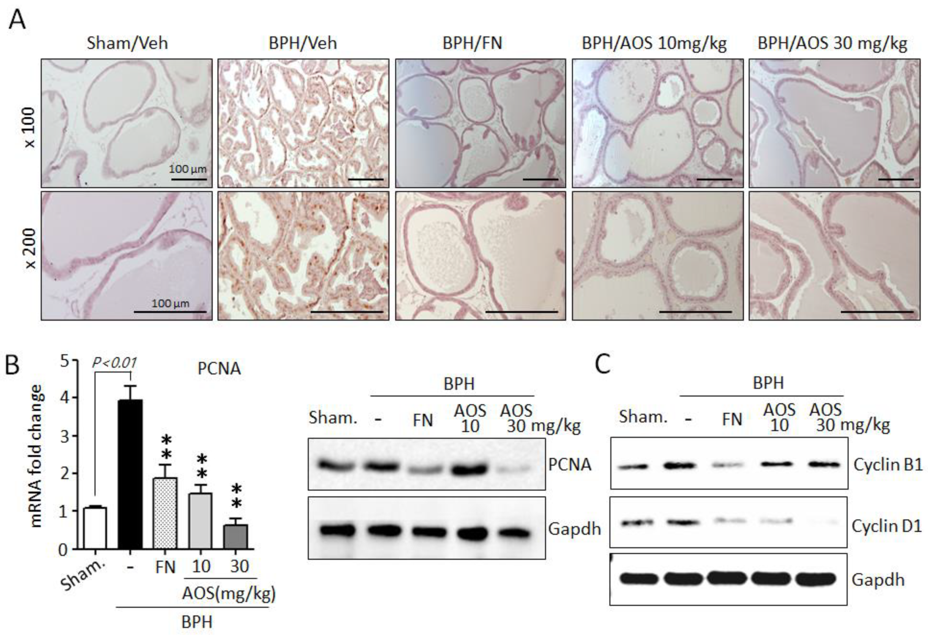 Nutrients 15 00682 g005