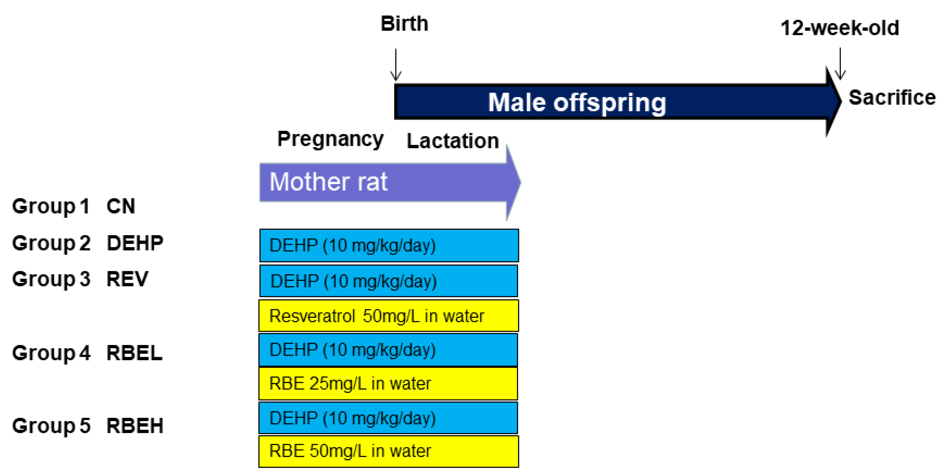 Nutrients 15 00697 g001 Nutrients 15 00697 g001