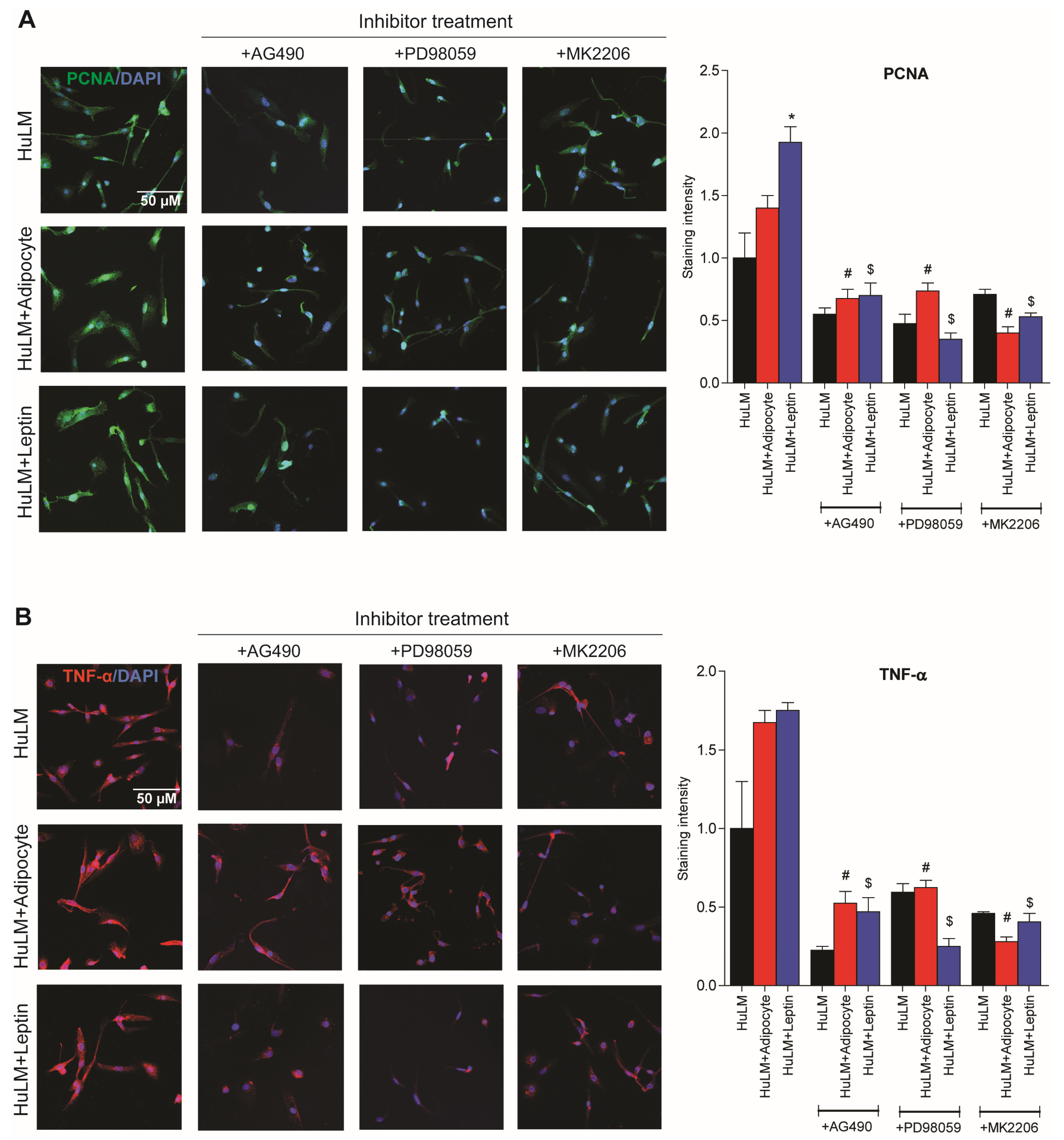 Nutrients 15 00715 g007 Nutrients 15 00715 g007