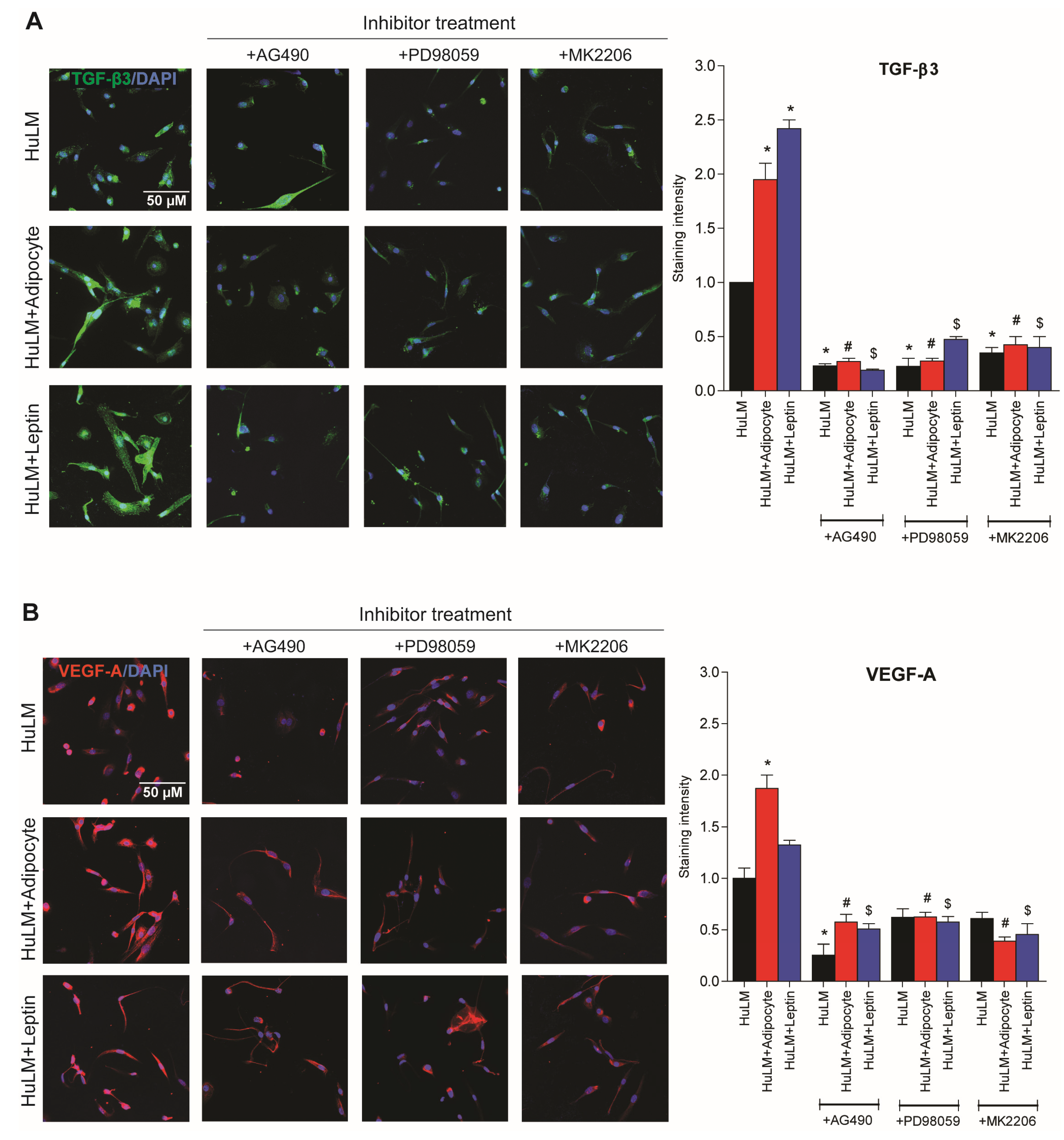 Nutrients 15 00715 g008 Nutrients 15 00715 g008