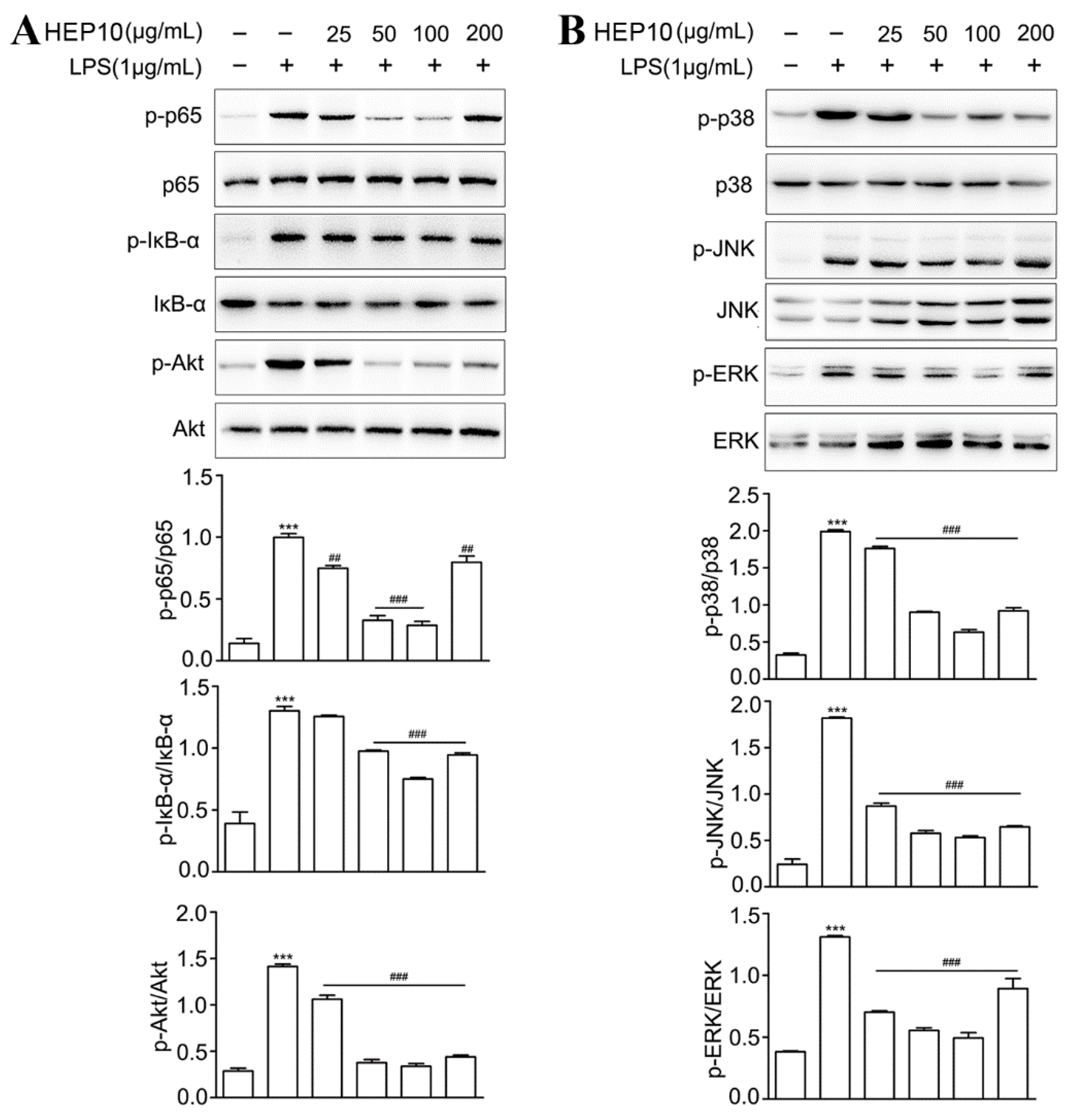Nutrients 15 00739 g003