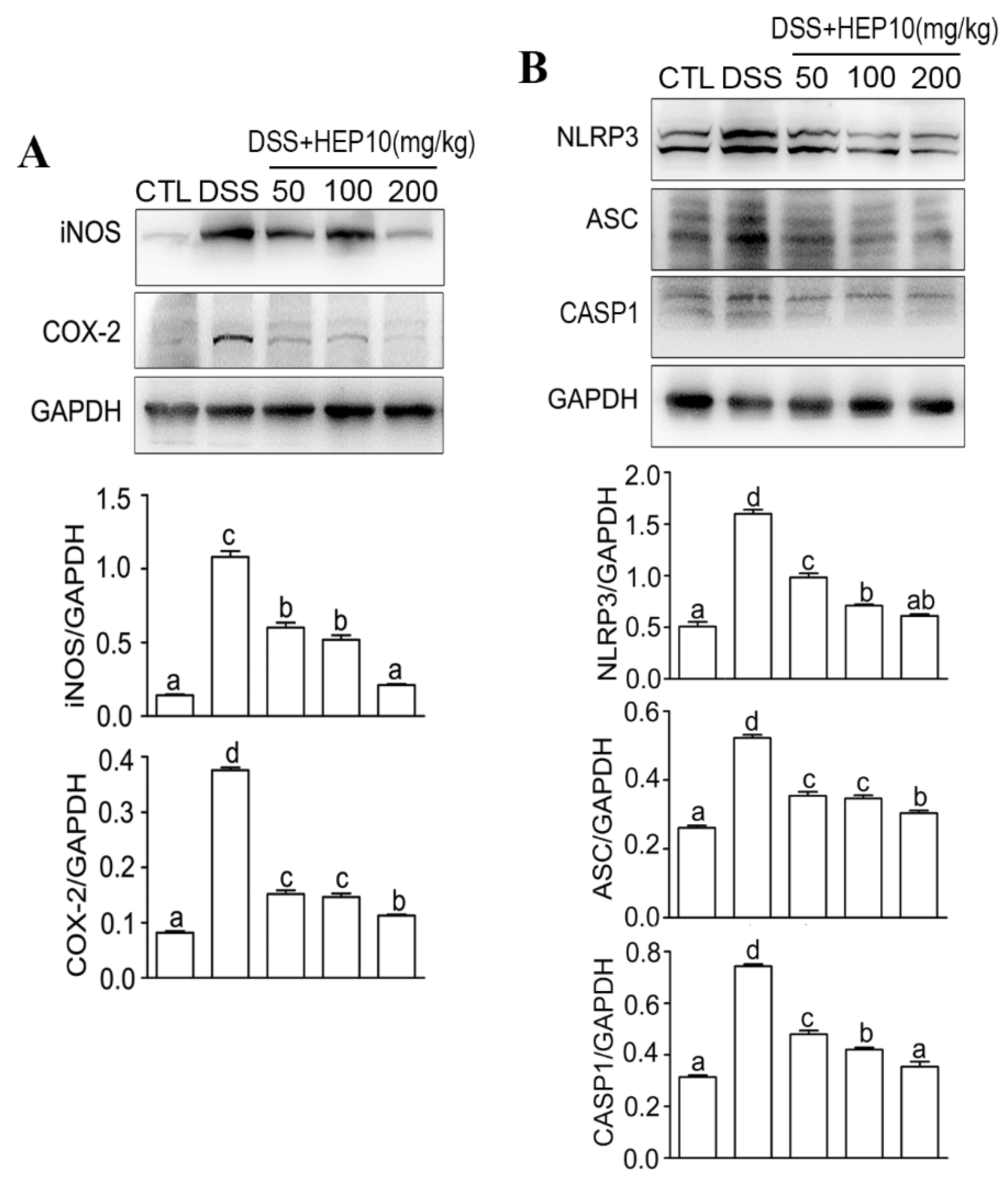 Nutrients 15 00739 g006